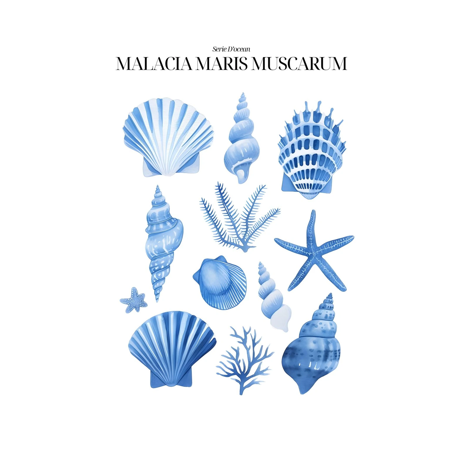 Serene Blue Seashells & Starfish Wall Art