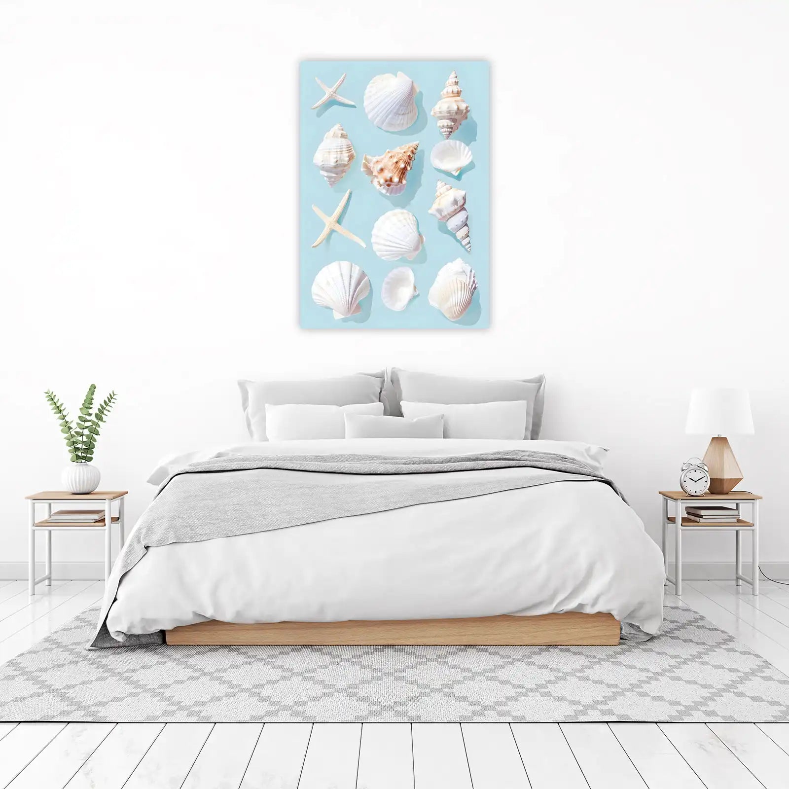 Coastal Shell Collection Wall Art