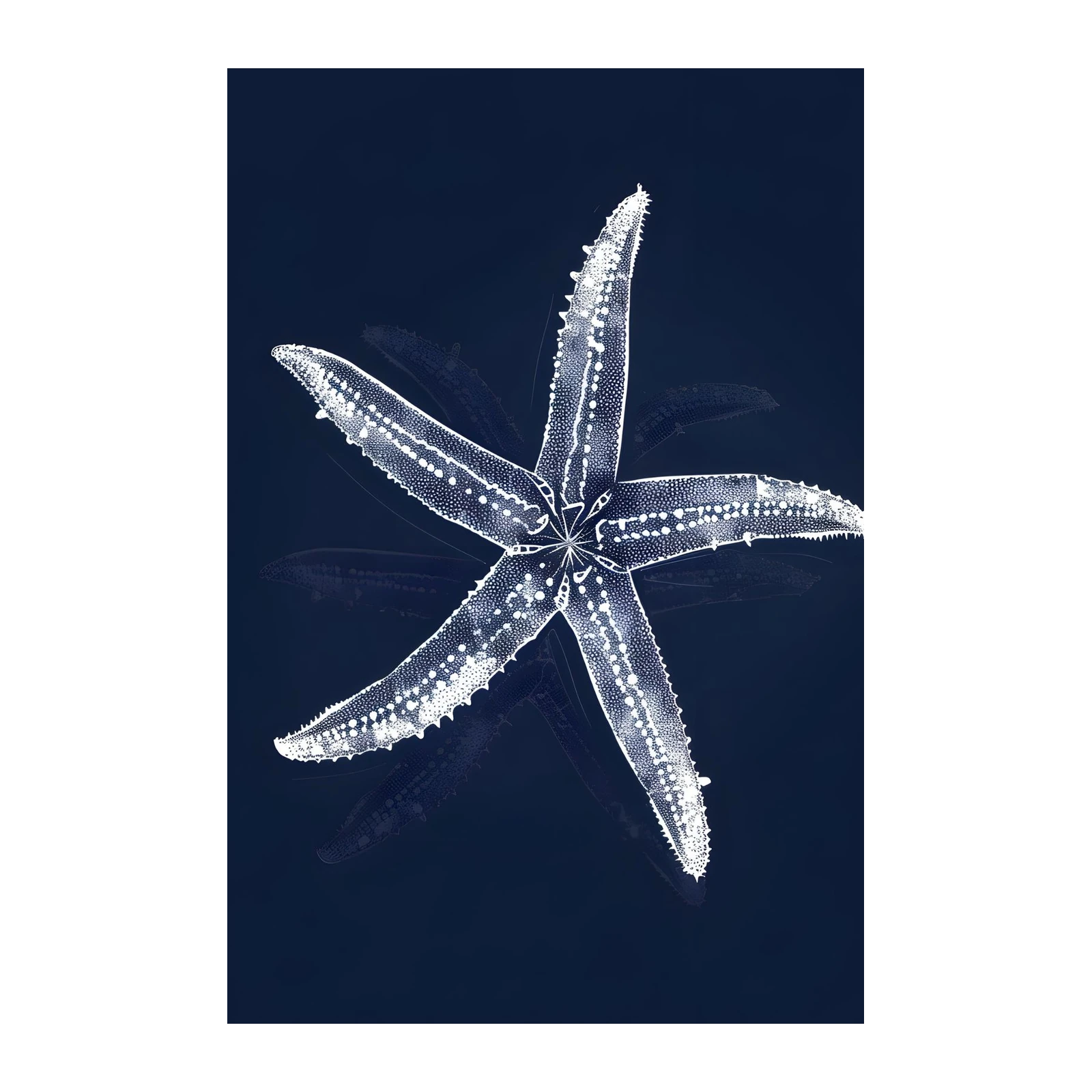 Elegant White Starfish Nautical Wall Art