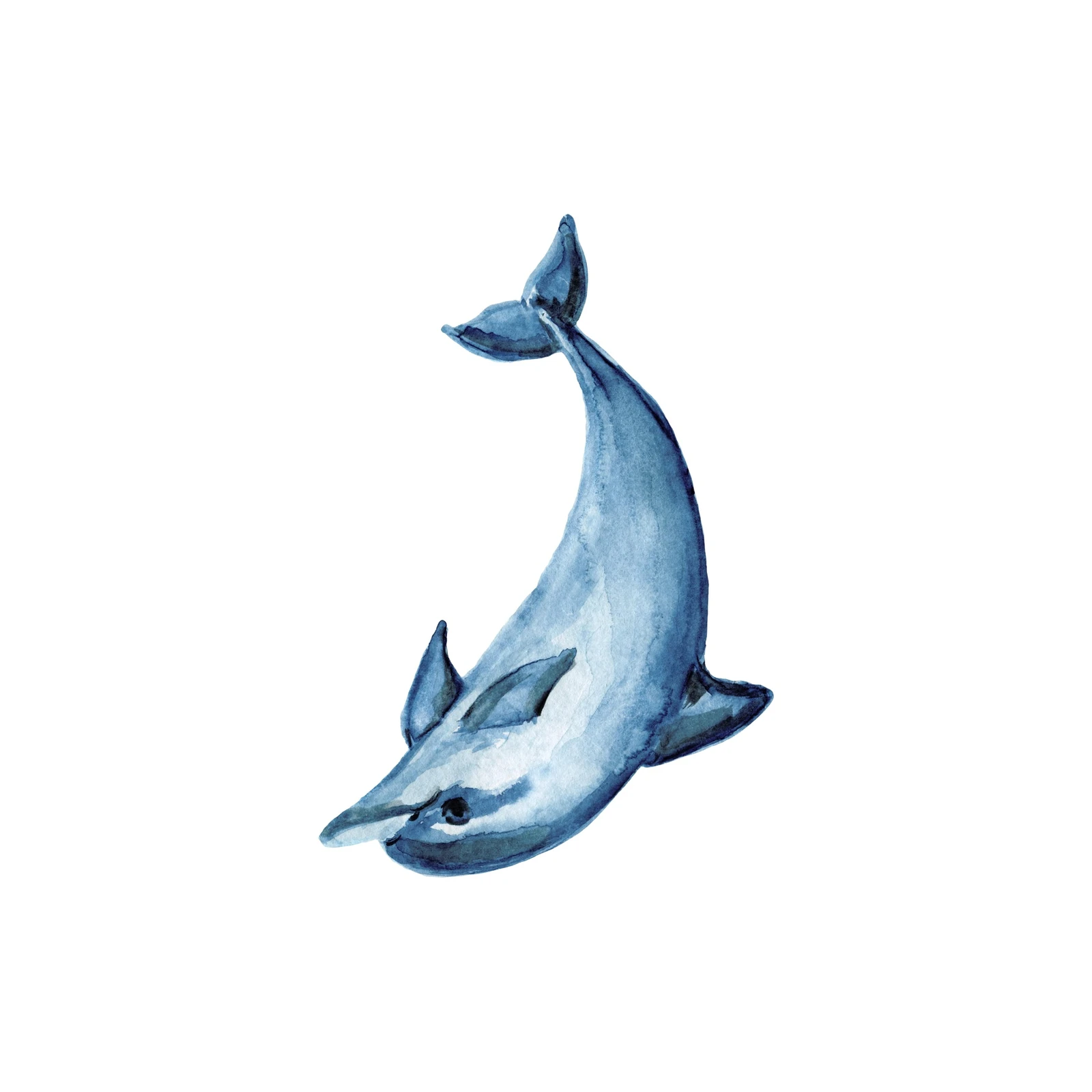 Serene Blue Dolphin Watercolor Wall Art