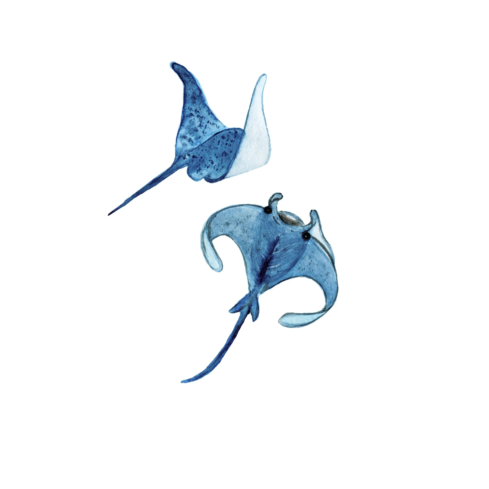 Majestic Manta Rays Watercolor Wall Art