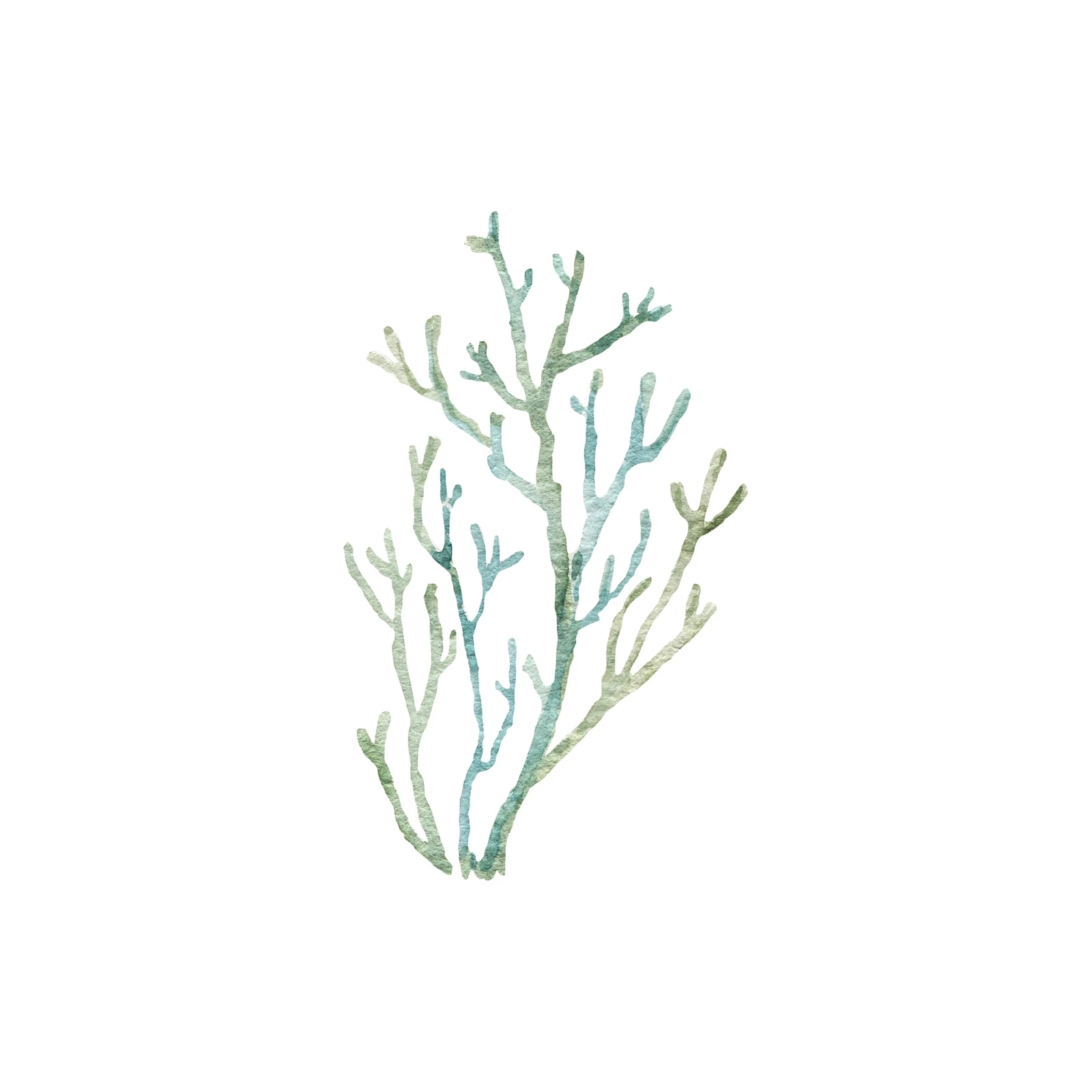 Serene Teal & Sage Coral Branch Wall Art