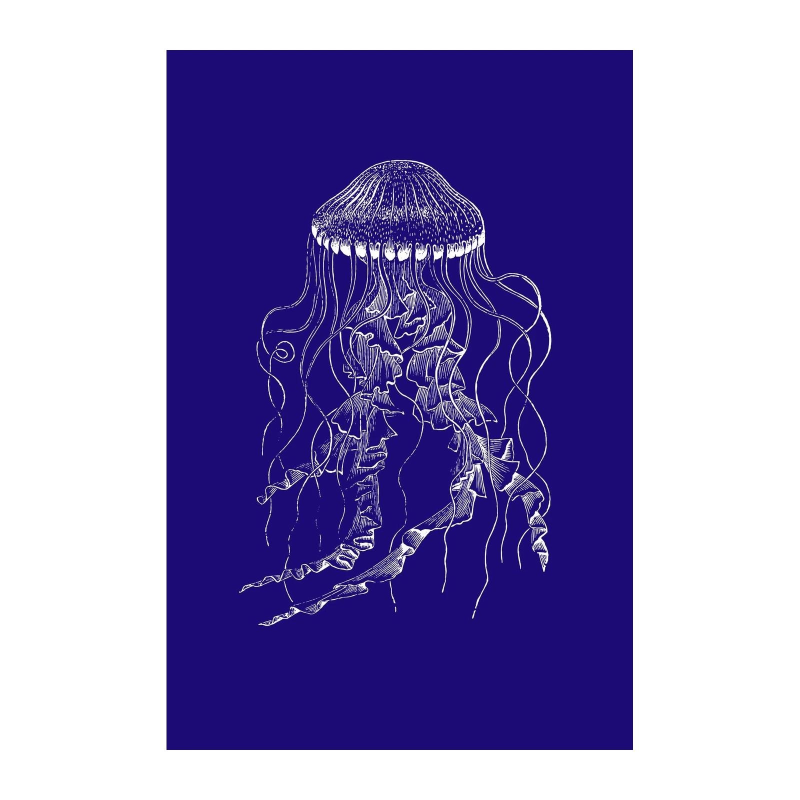 Elegant White Jellyfish Nautical Wall Art