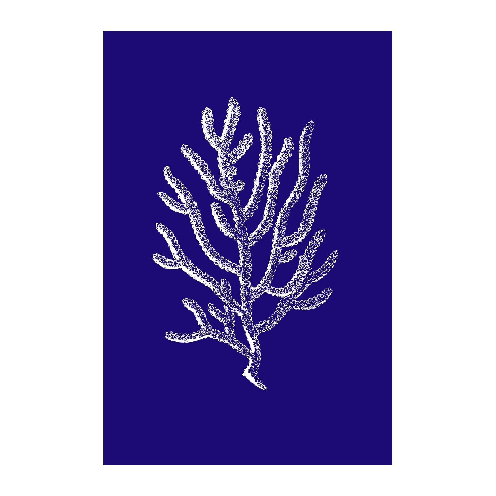 Elegant White Coral on Blue Wall Art