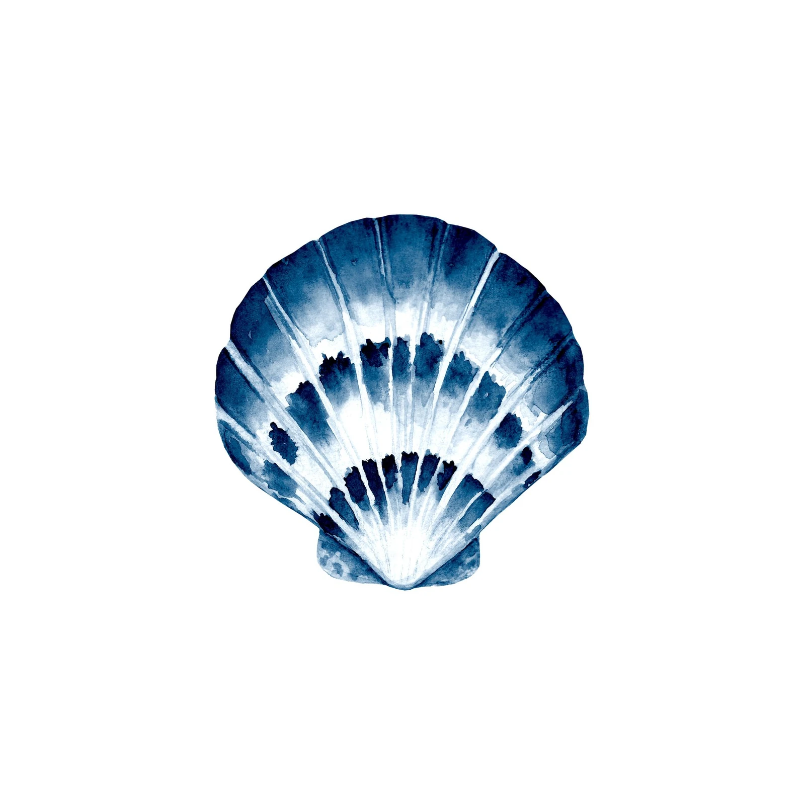 Indigo Scallop Shell Watercolor Wall Art