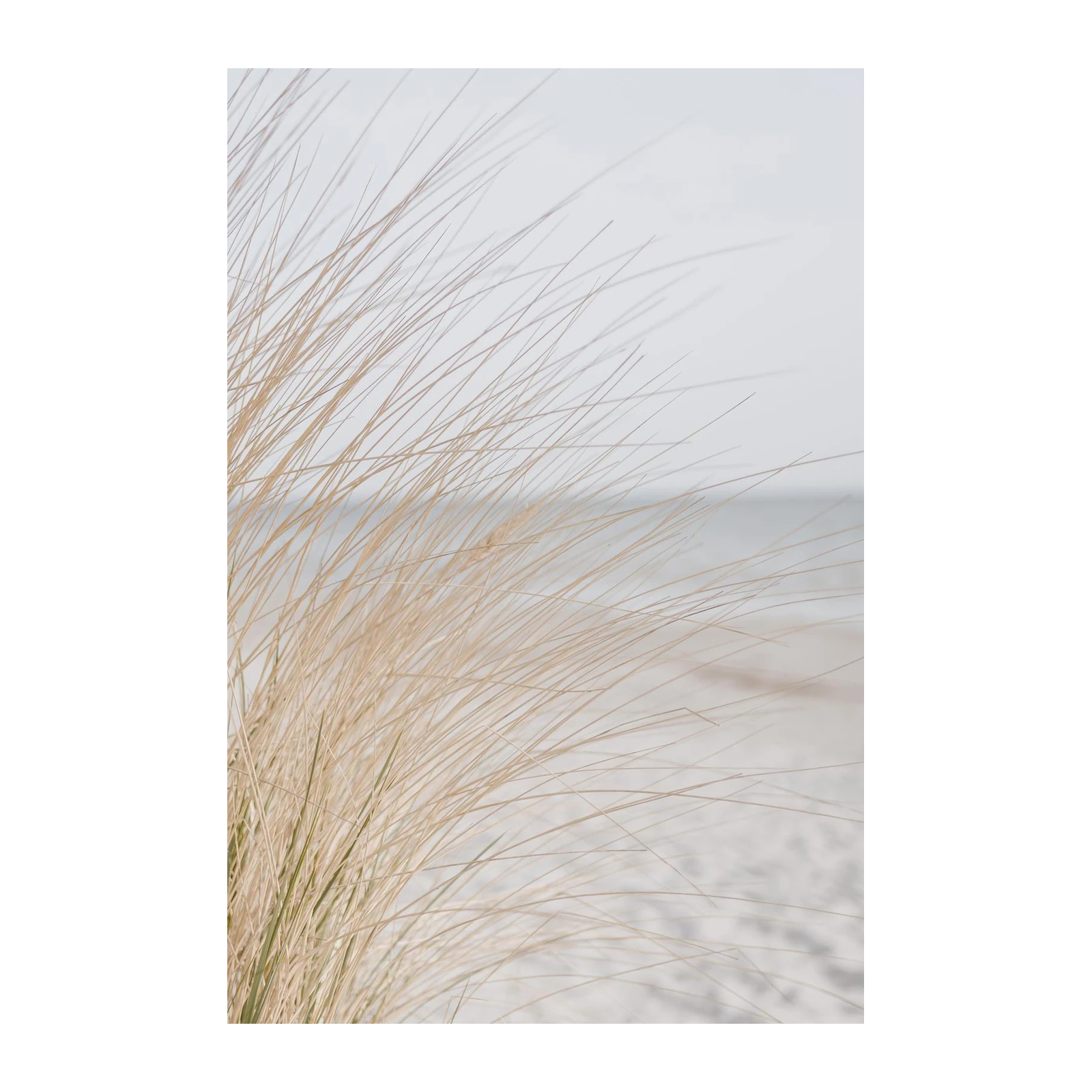 Serene Beach Grass Abstract Wall Art