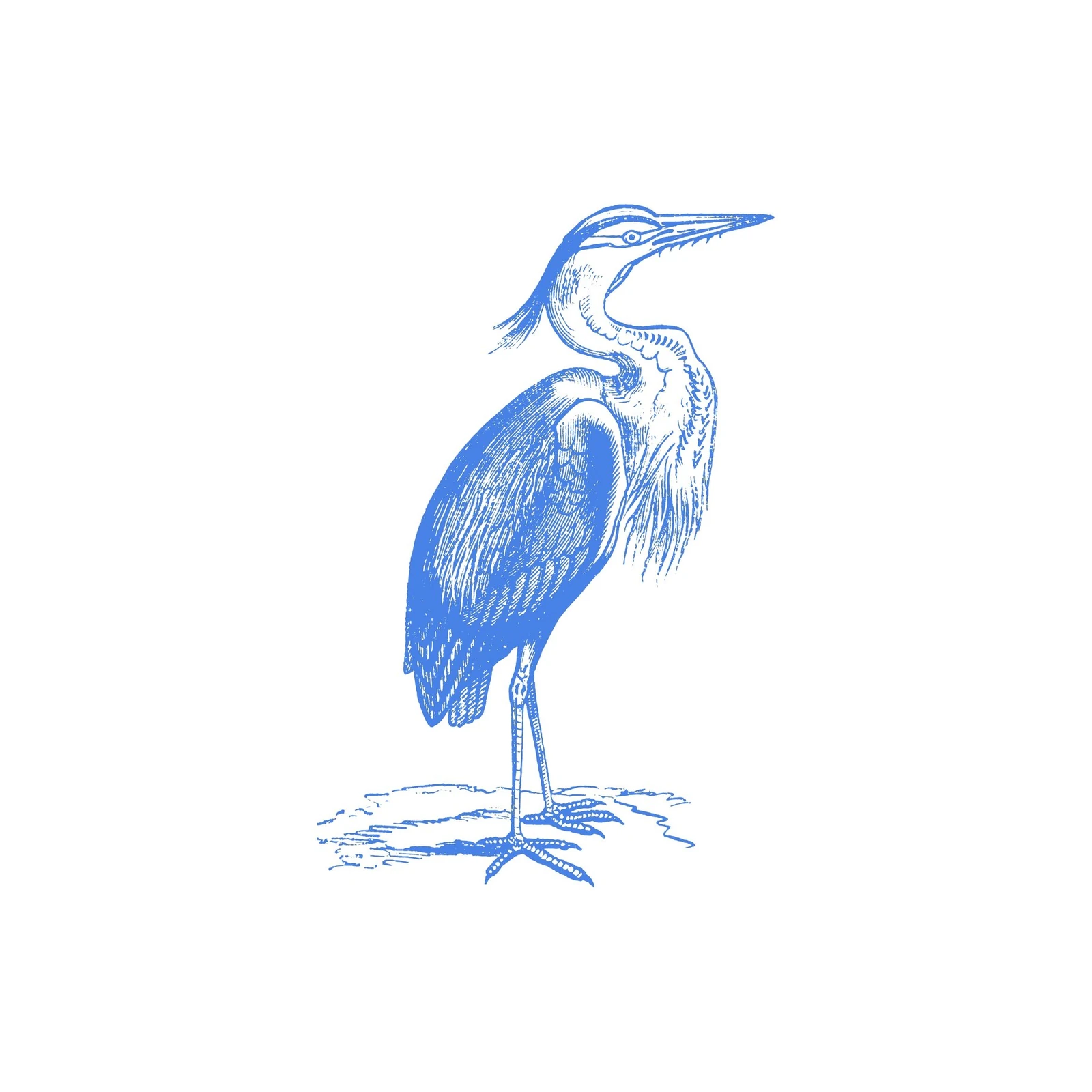 Elegant Blue Heron Vintage Style Wall Art