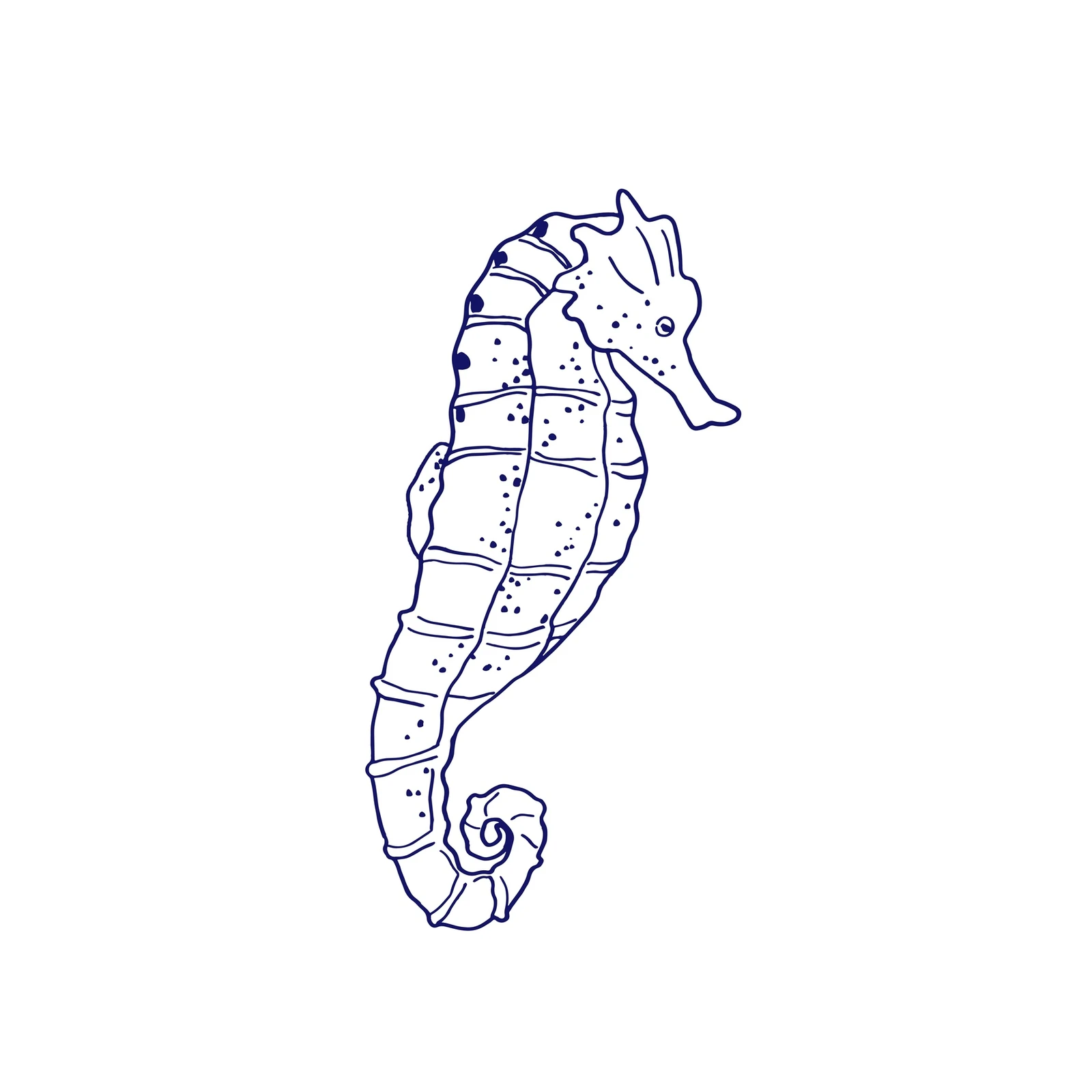 Elegant Seahorse Line Art Wall Art