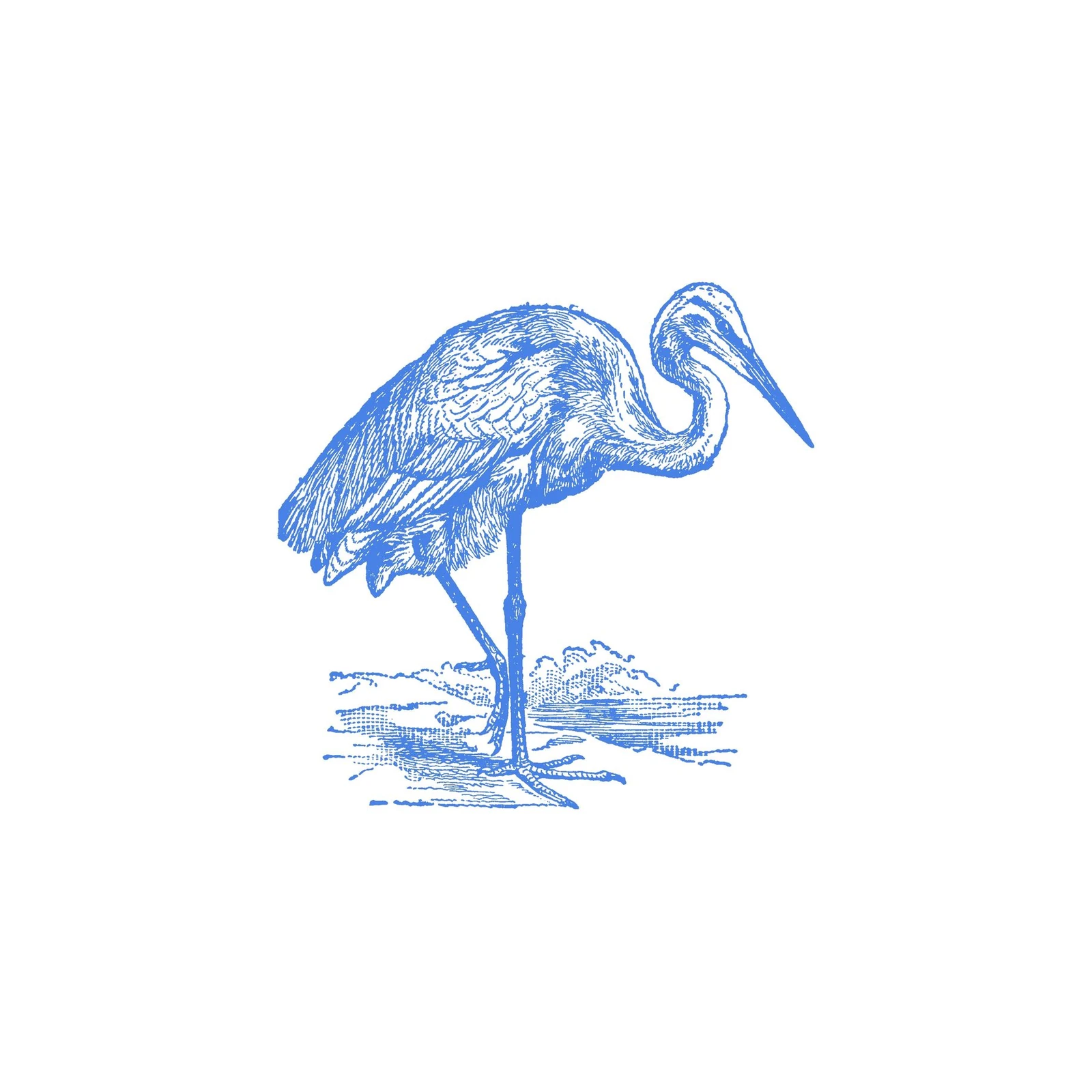 Elegant Blue Heron Vintage Sketch Wall Art