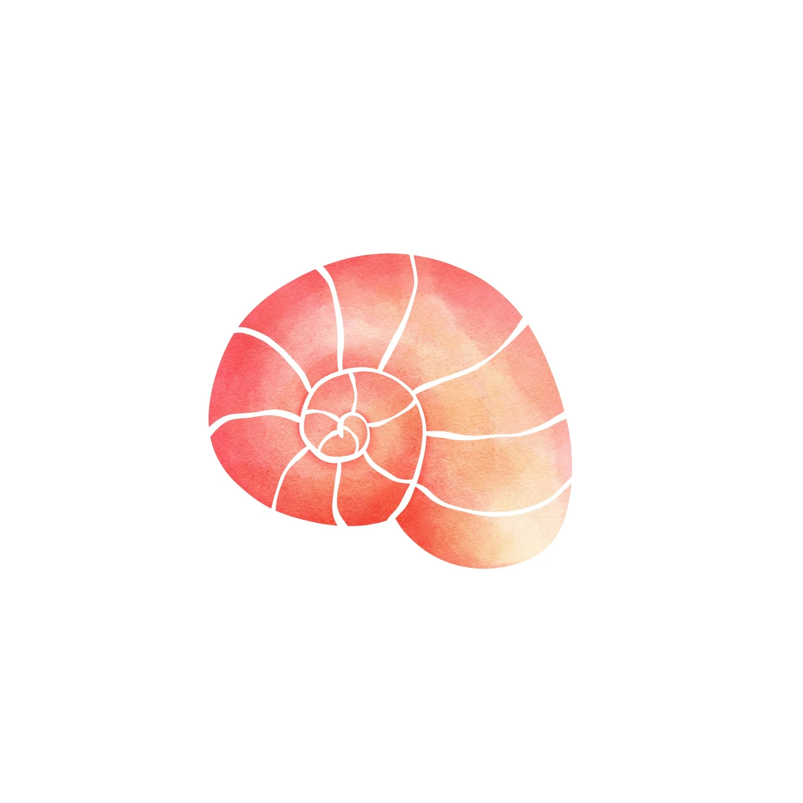 Nautical Coral Nautilus Swirl Wall Art