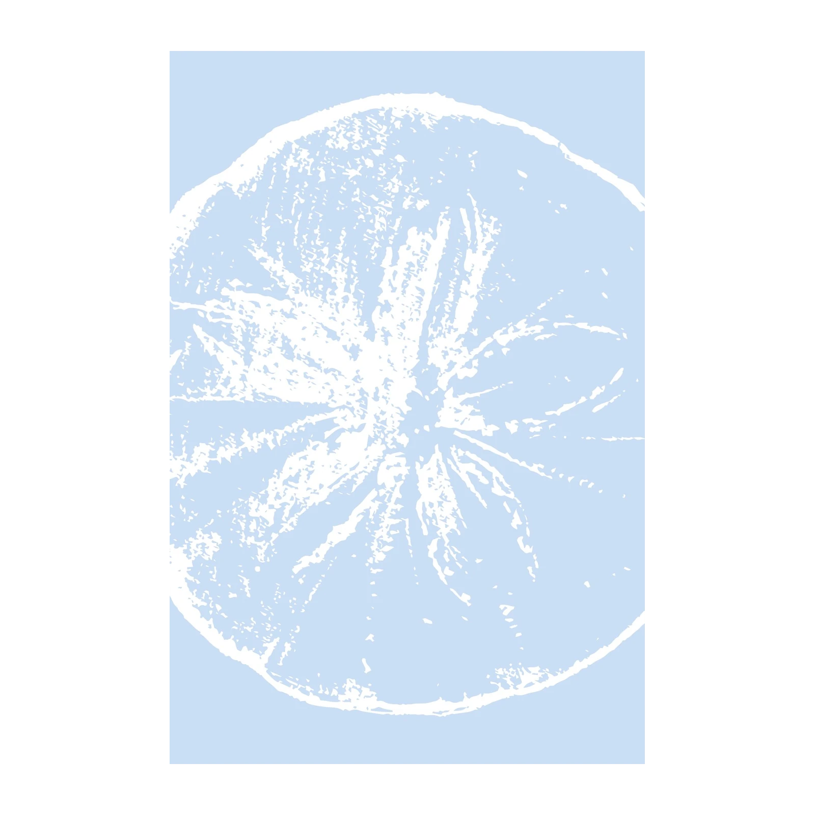 Serene Citrus Slice Minimalist Wall Art