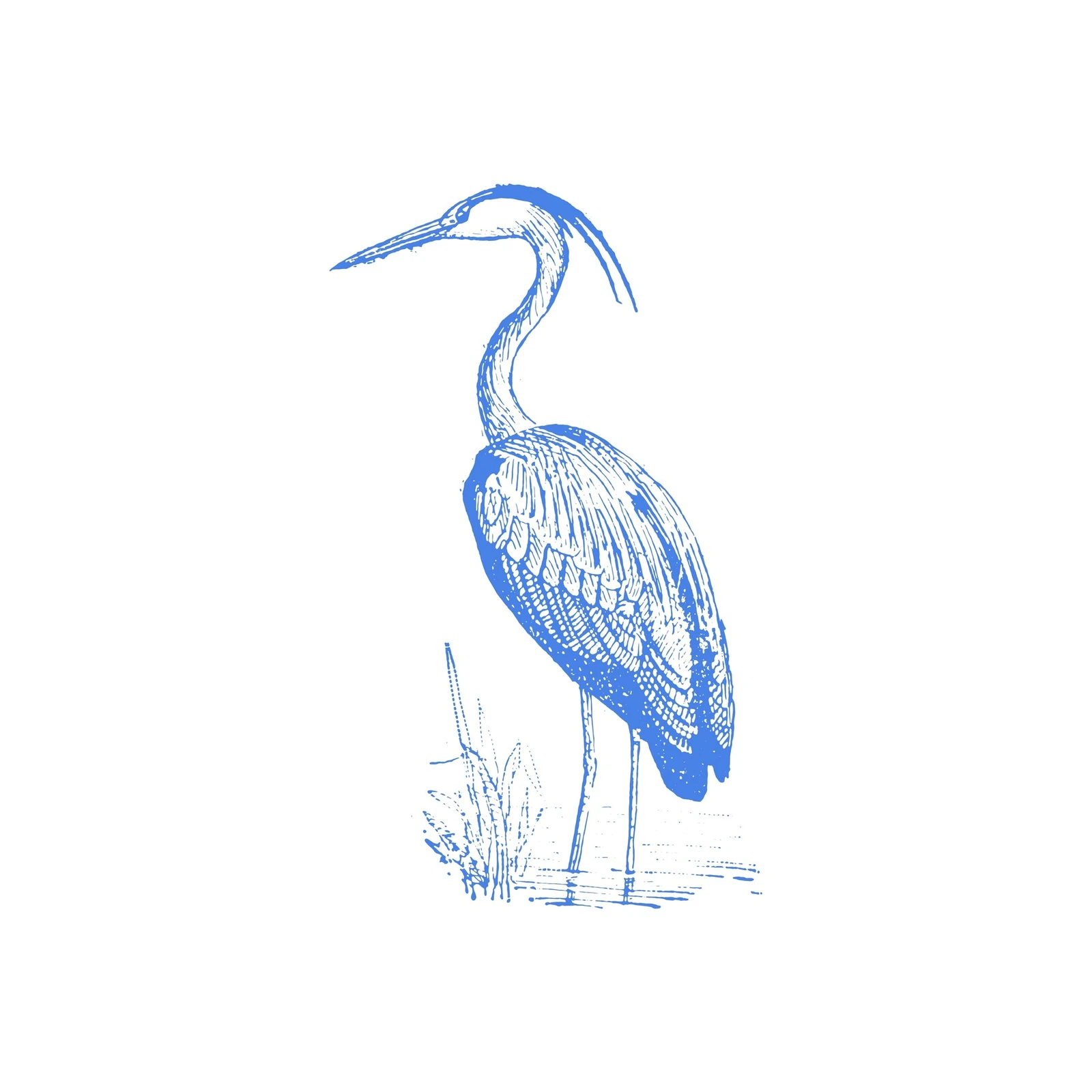Blue Heron Sketch Vintage Bird Wall Art
