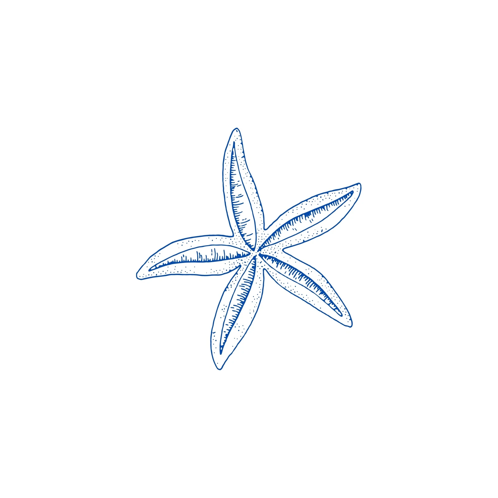 Elegant Starfish Line Art Wall Art