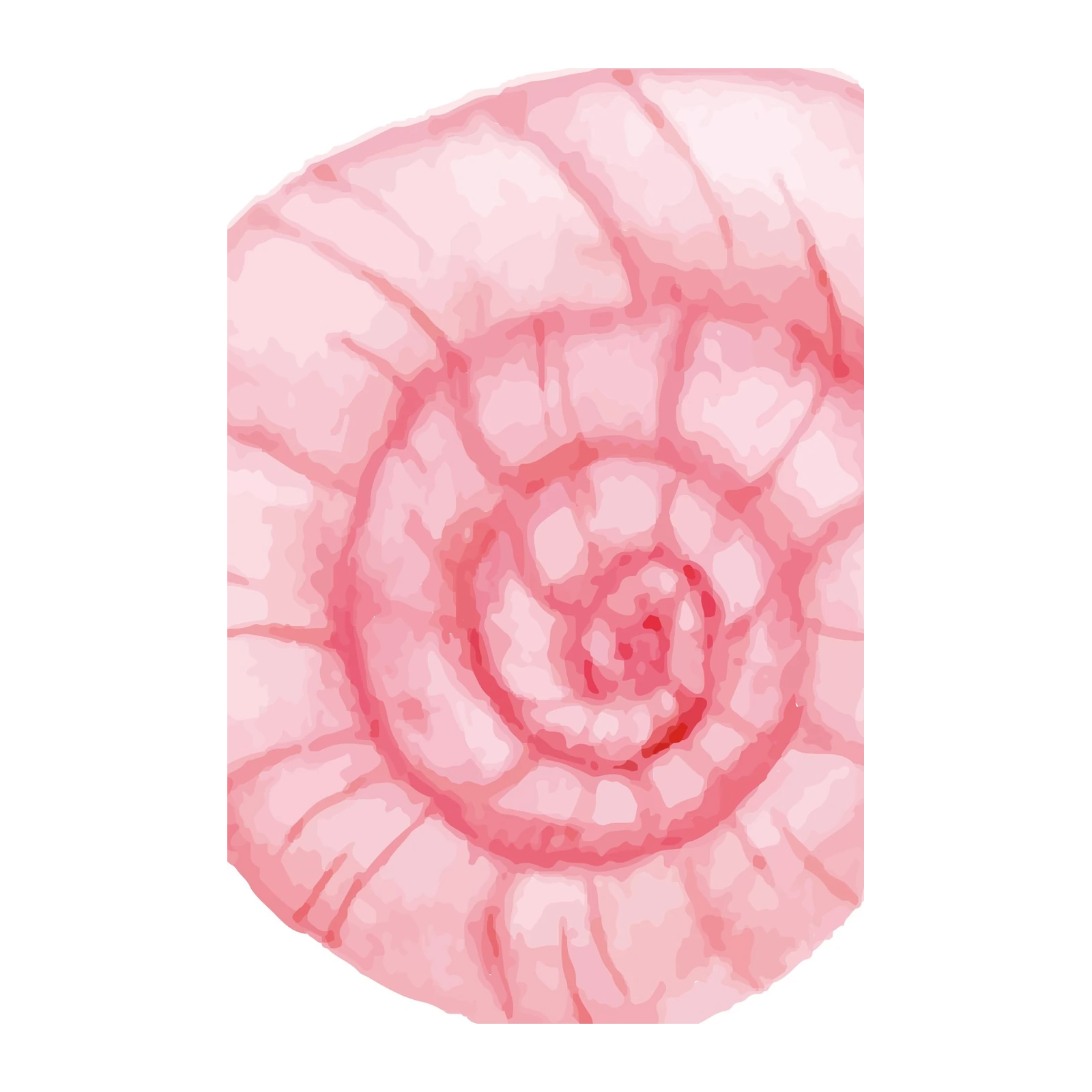 Abstract Pink Swirl Watercolor Wall Art