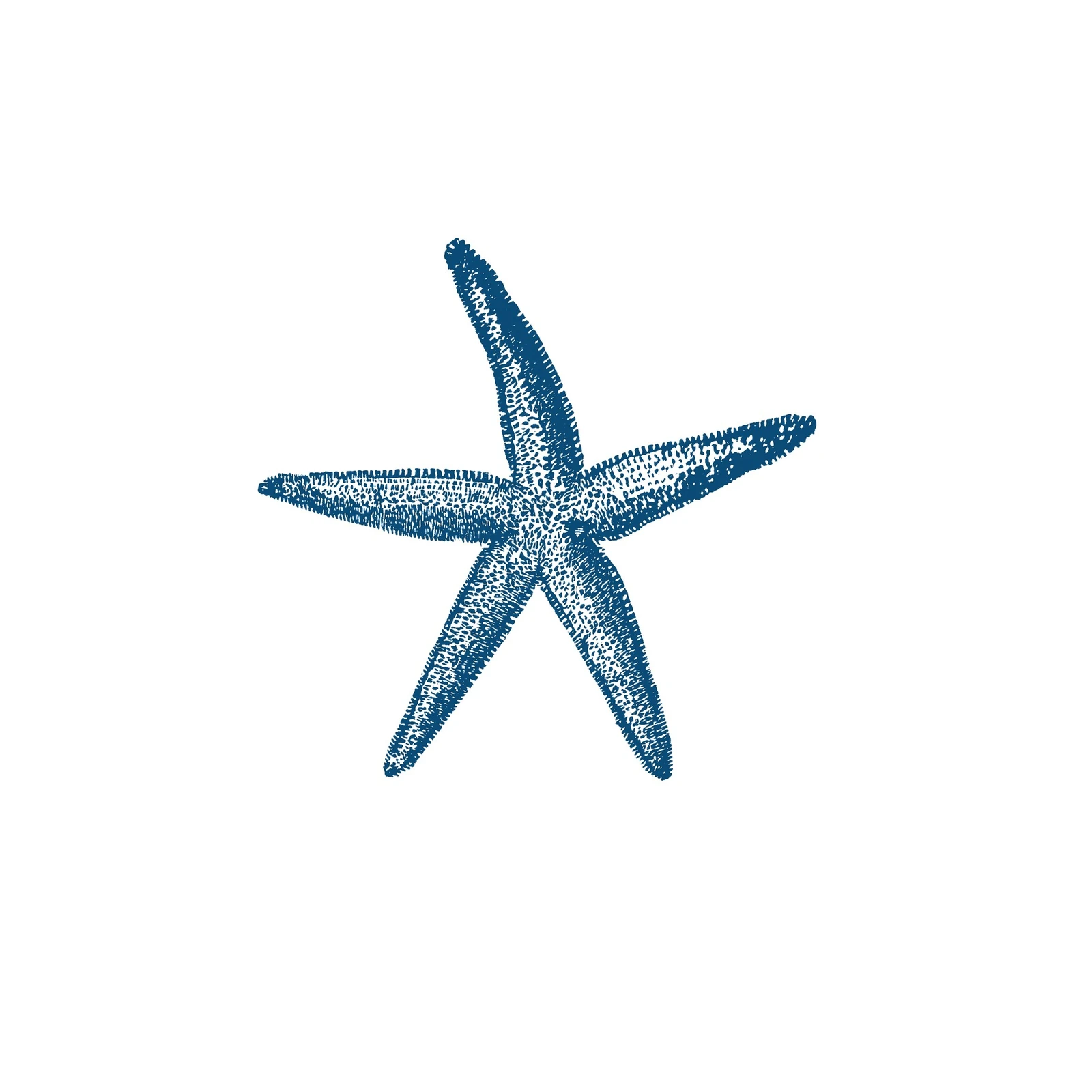 Elegant Starfish Beach Art Wall Art