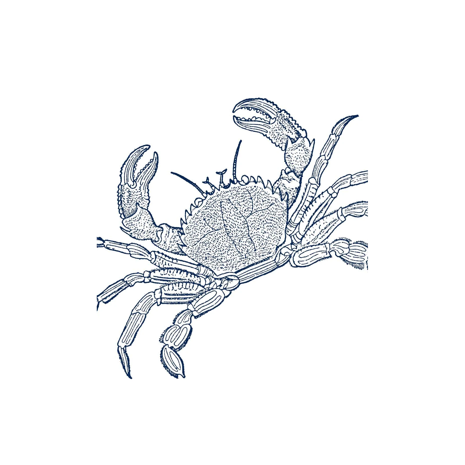 Elegant Blue Crab Nautical Art Wall Art