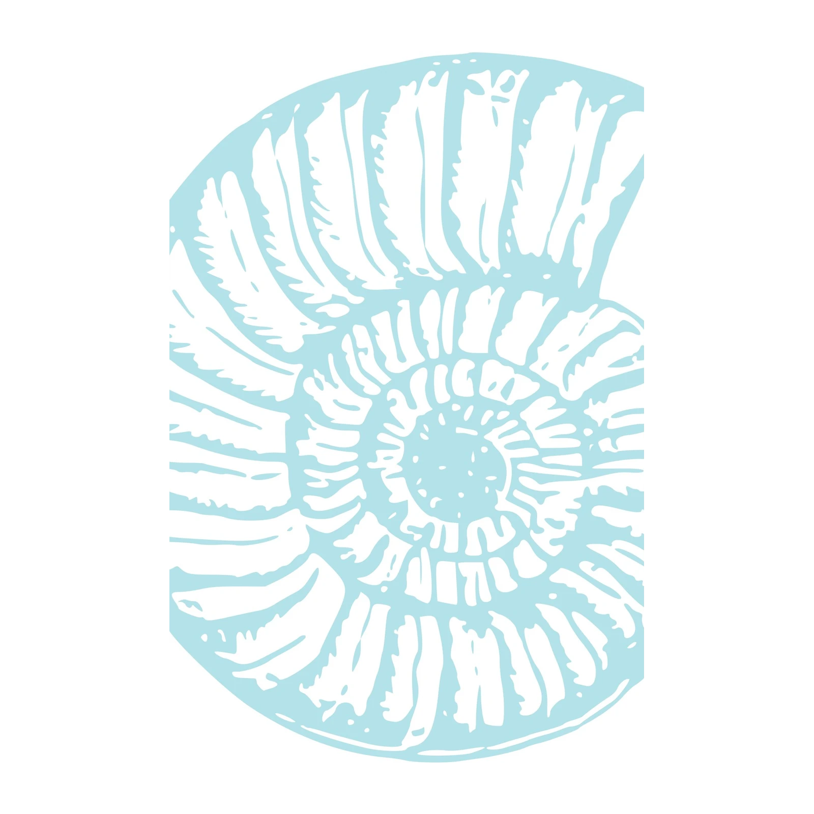 Nautical Ammonite Fossil Wall Art - Coastal Decor