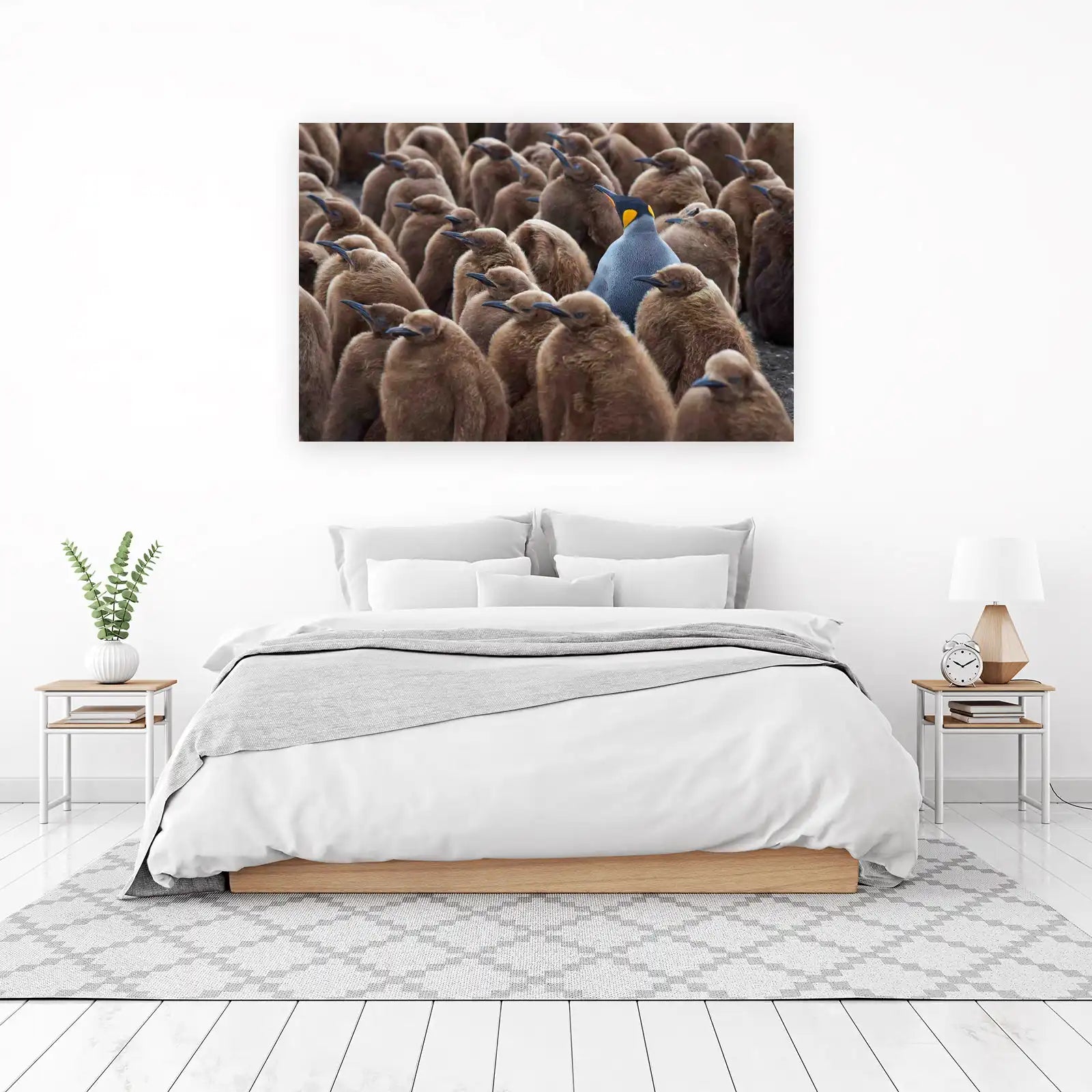 King Penguin Colony Wall Art - Wildlife & Nature Art