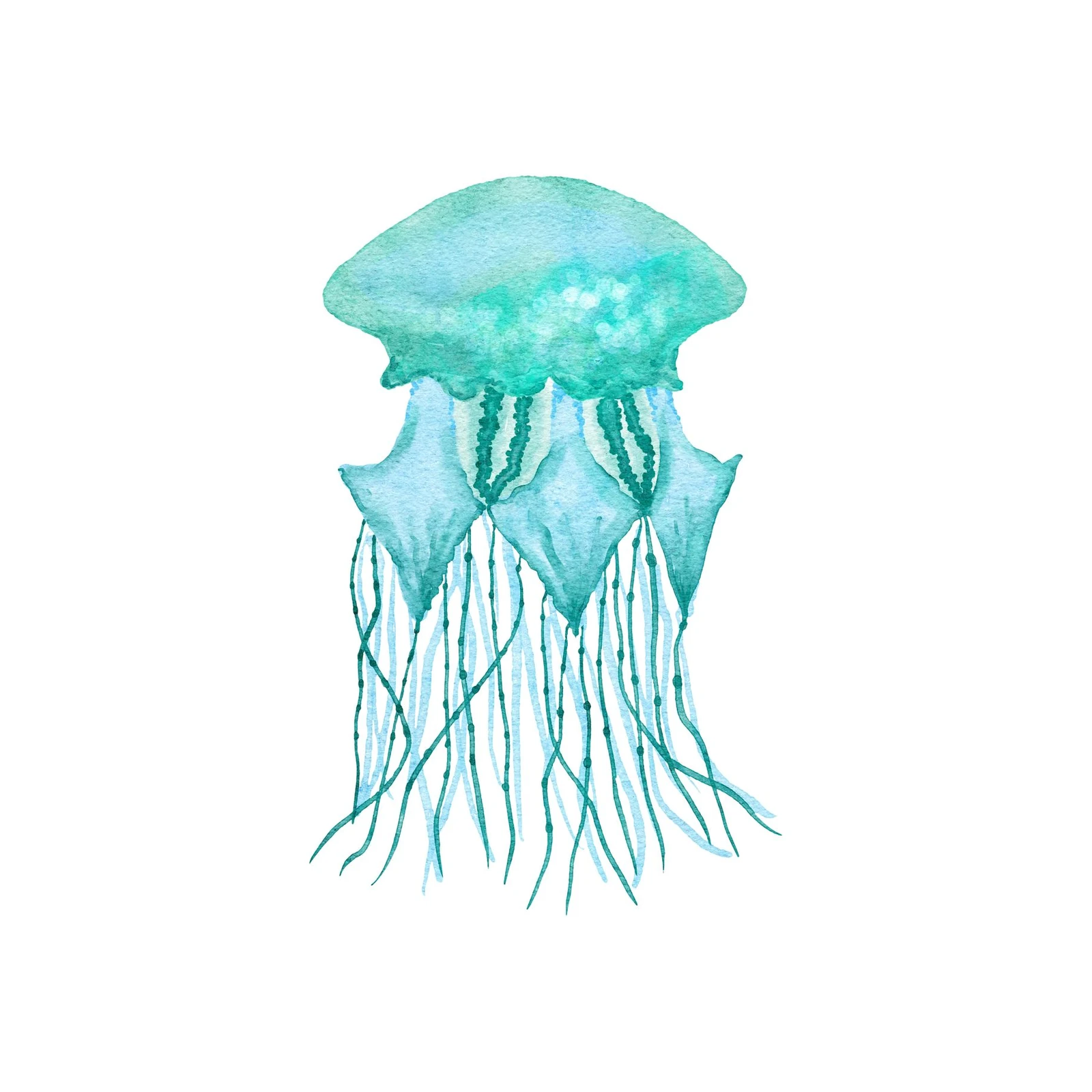 Tranquil Teal Jellyfish Watercolor Wall Art