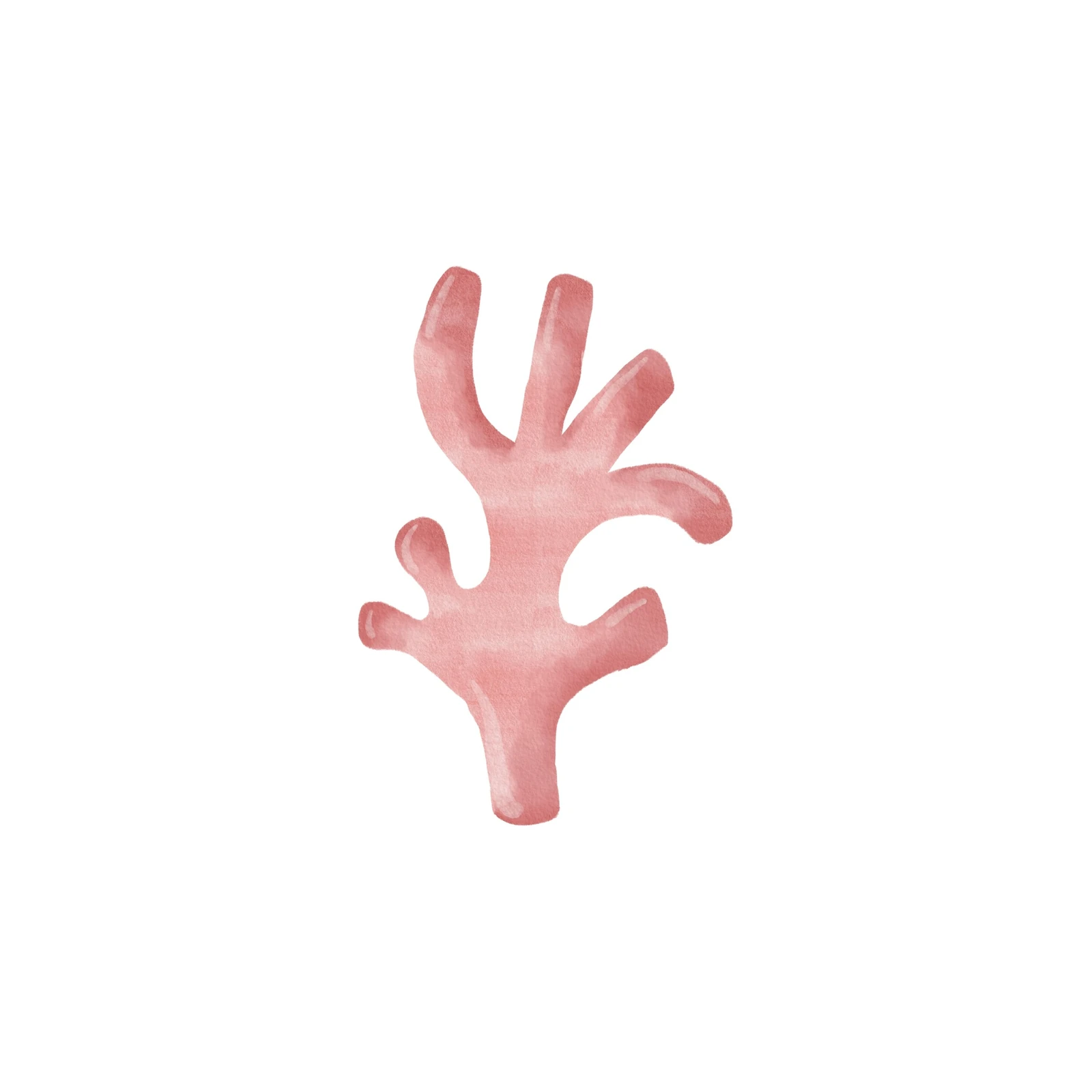 Soft Coral Watercolor Minimalist Wall Art Wall Art
