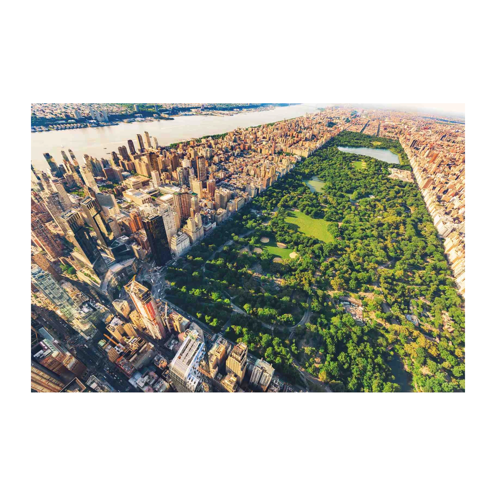 NYC Central Park Aerial Wall Art