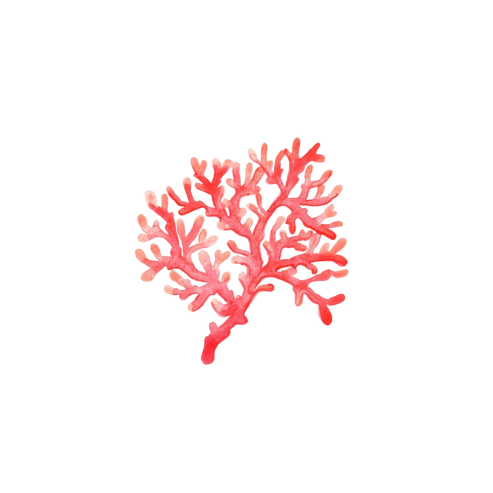 Vibrant Coral Watercolor Beach Wall Art