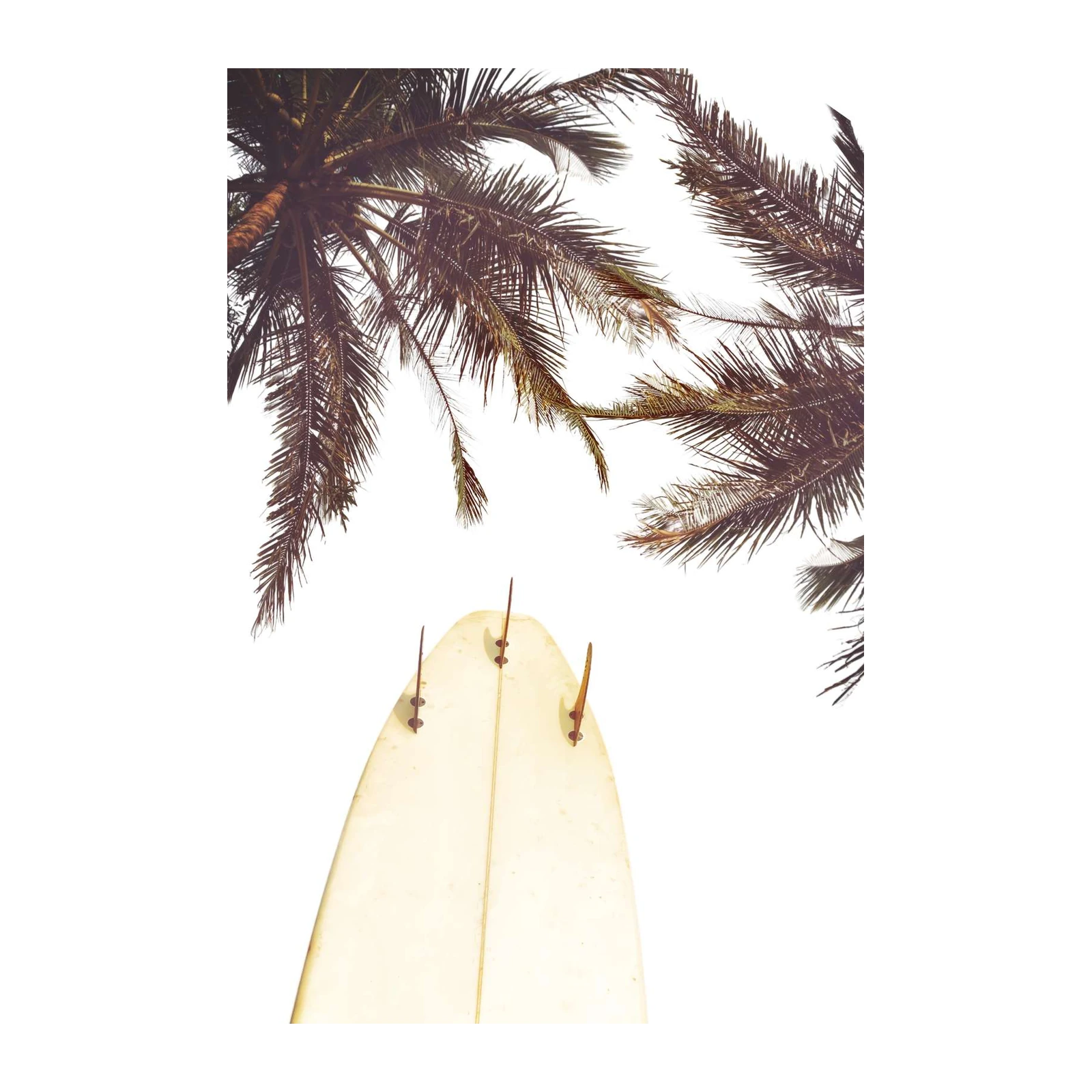 Retro Surfboard & Palm Tree Wall Art