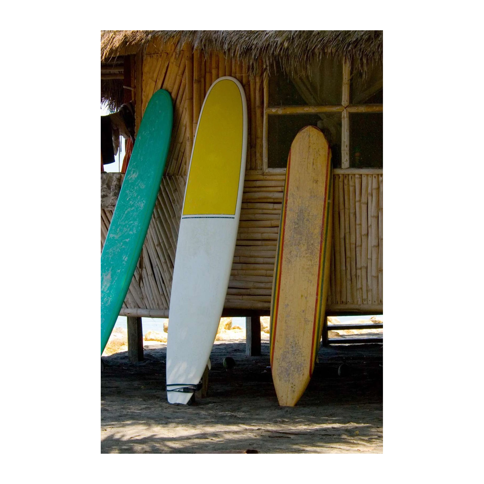 Tropical Vibes Surfboard Trio Wall Art