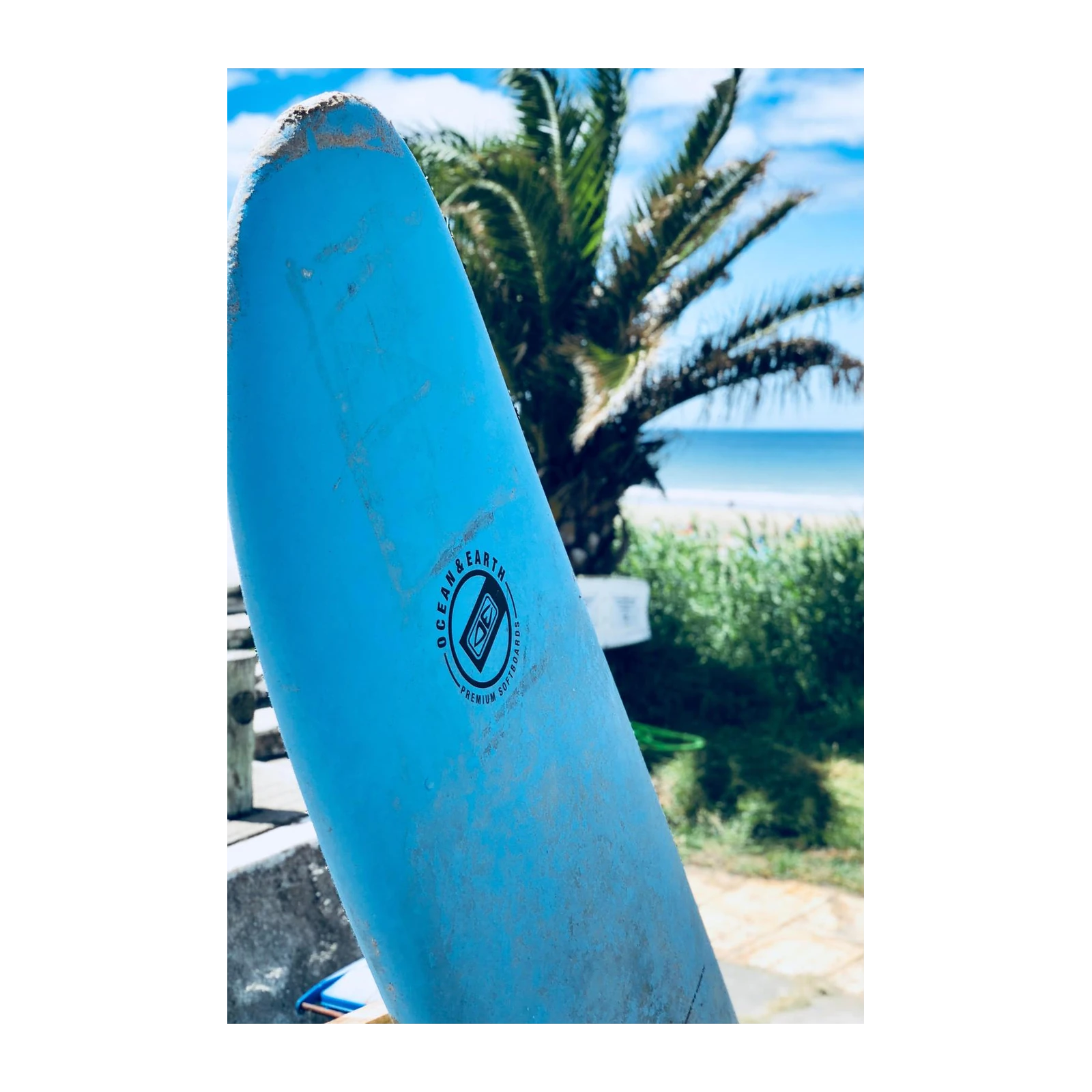 Ocean Breeze Surfboard Vibes Wall Art