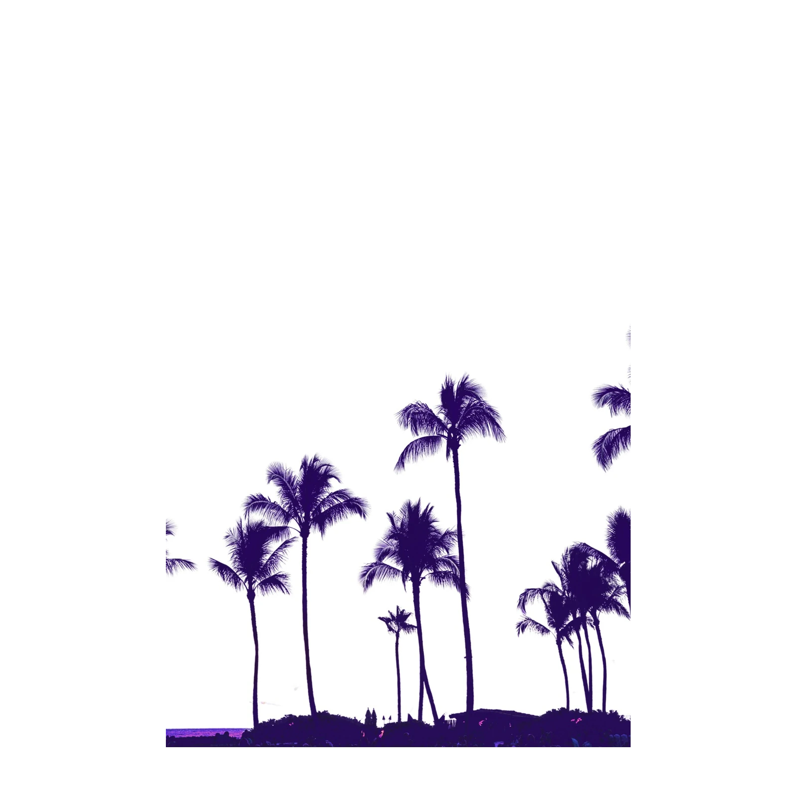 Vibrant Purple Palm Silhouette Wall Art