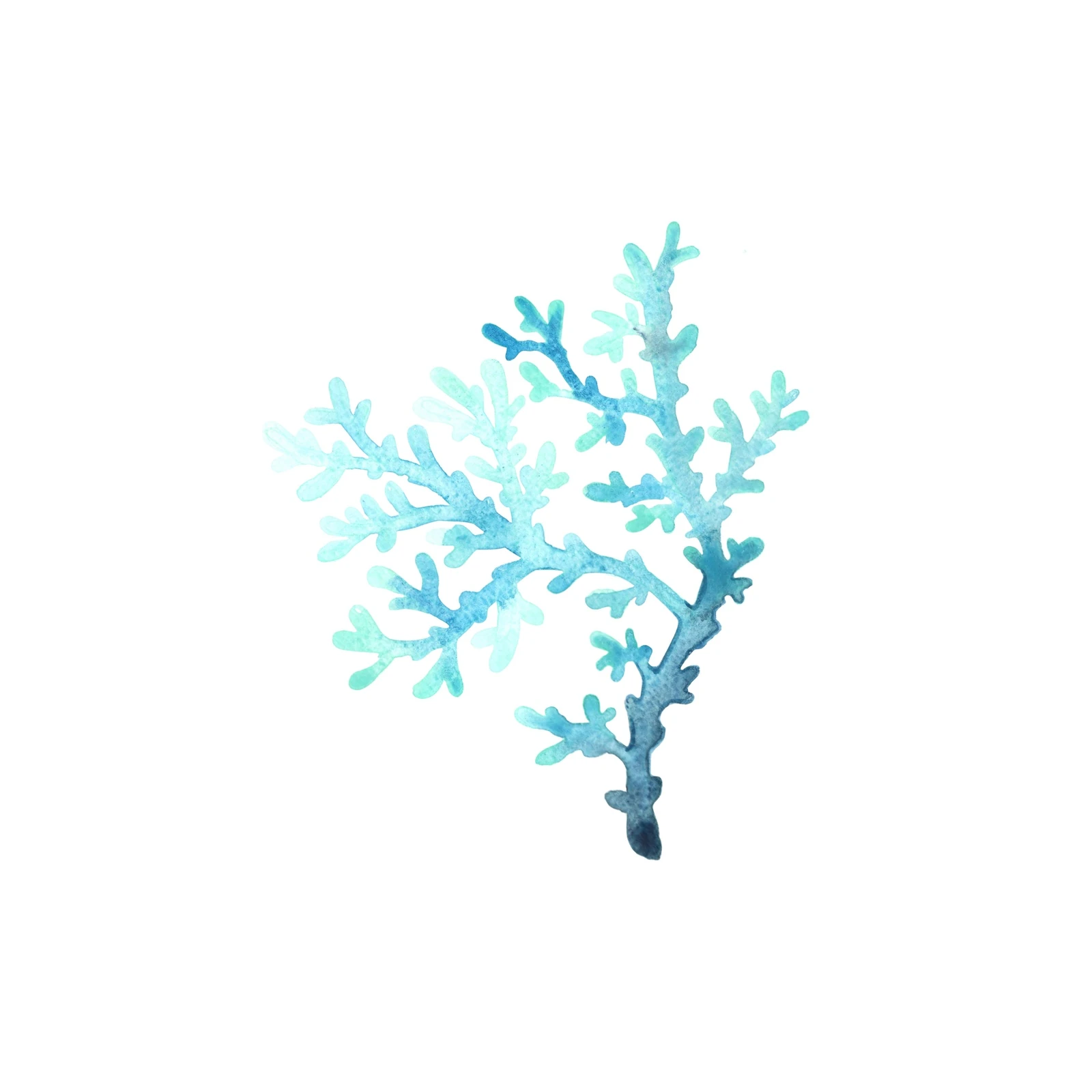 Serene Blue Coral Watercolor Wall Art
