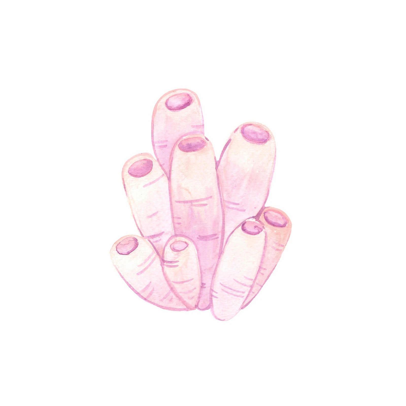 Soft Pink Coral Watercolour Wall Art