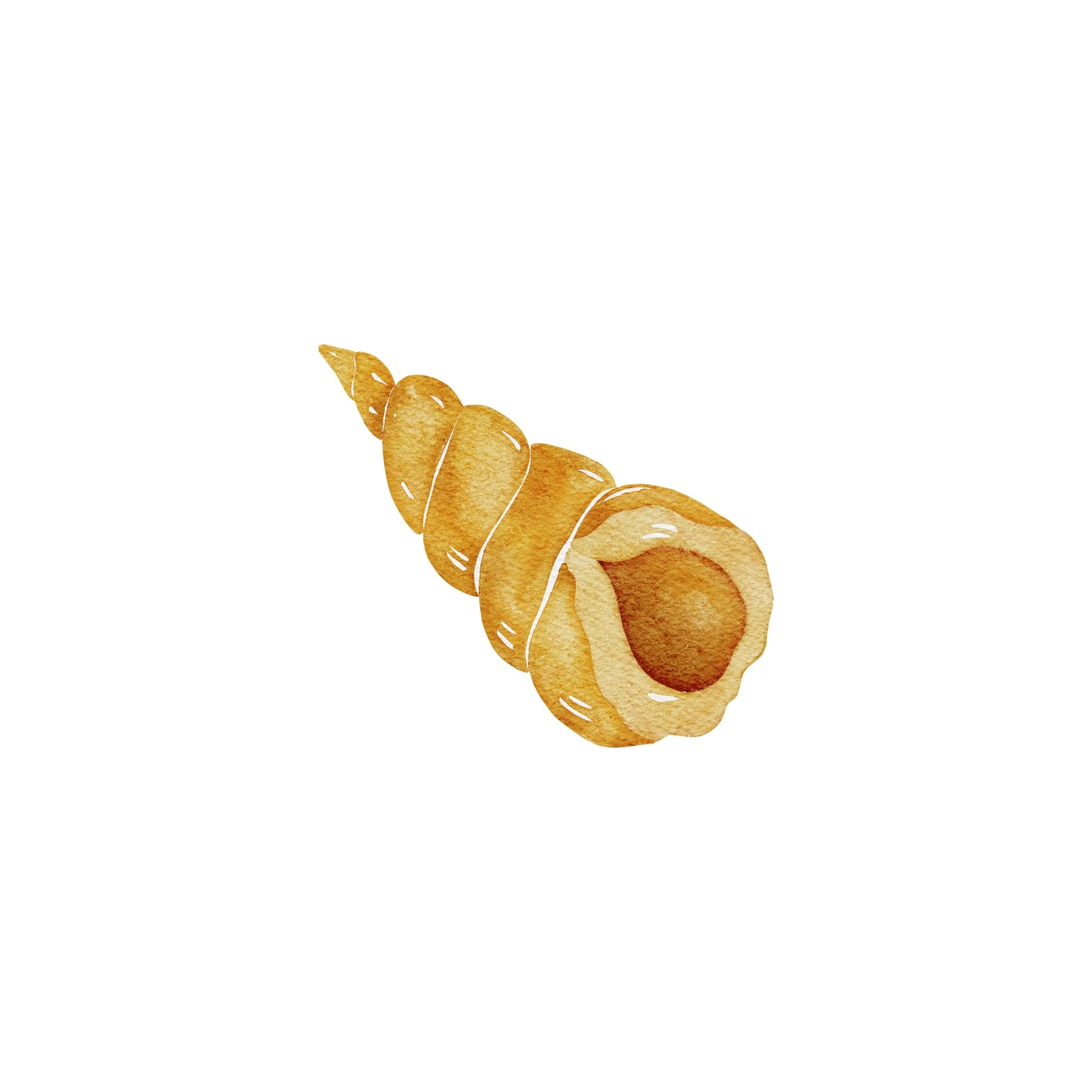 Golden Seashell Watercolor Wall Art