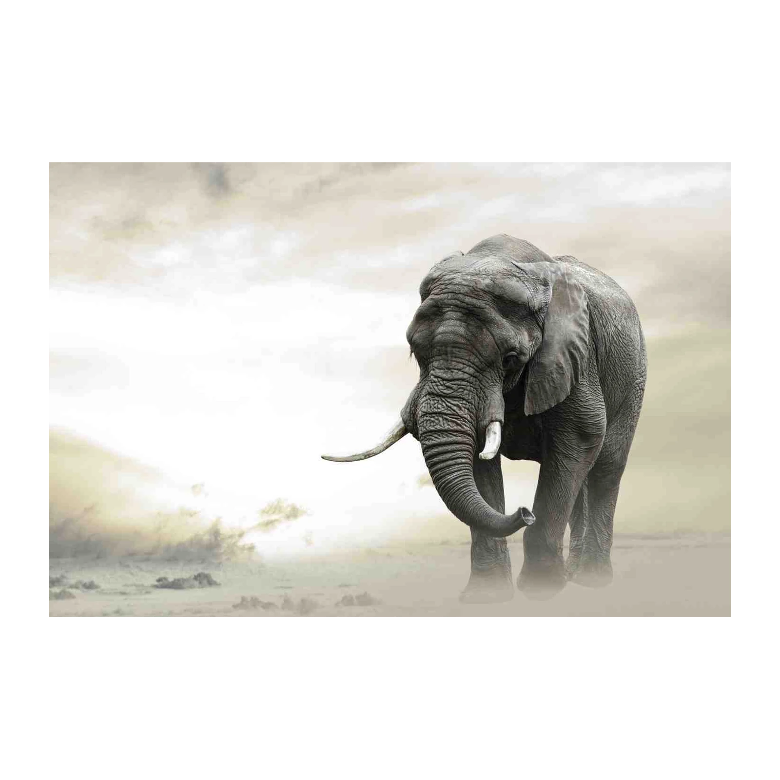 Majestic Elephant African Safari Wall Art