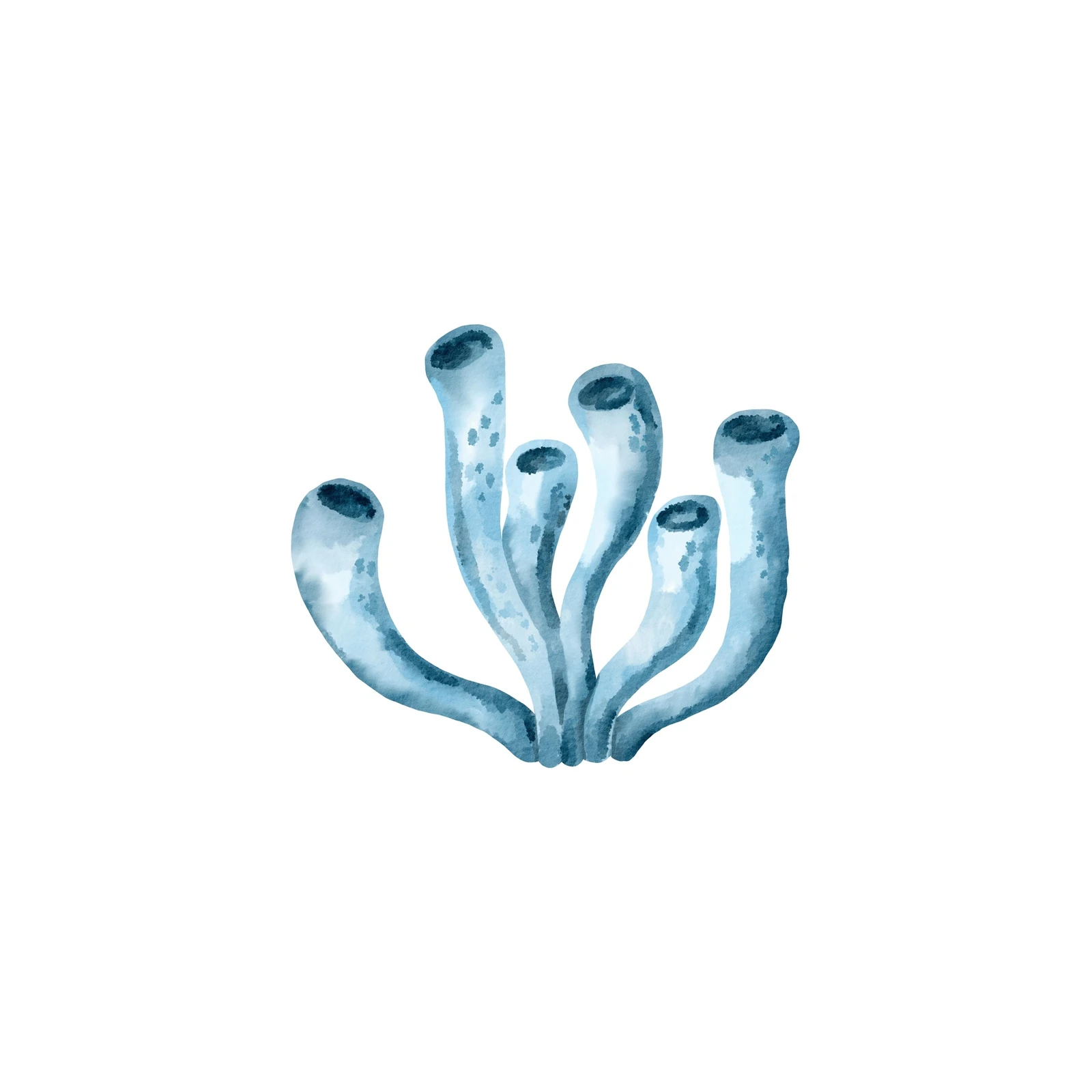 Serene Blue Coral Watercolor Wall Art