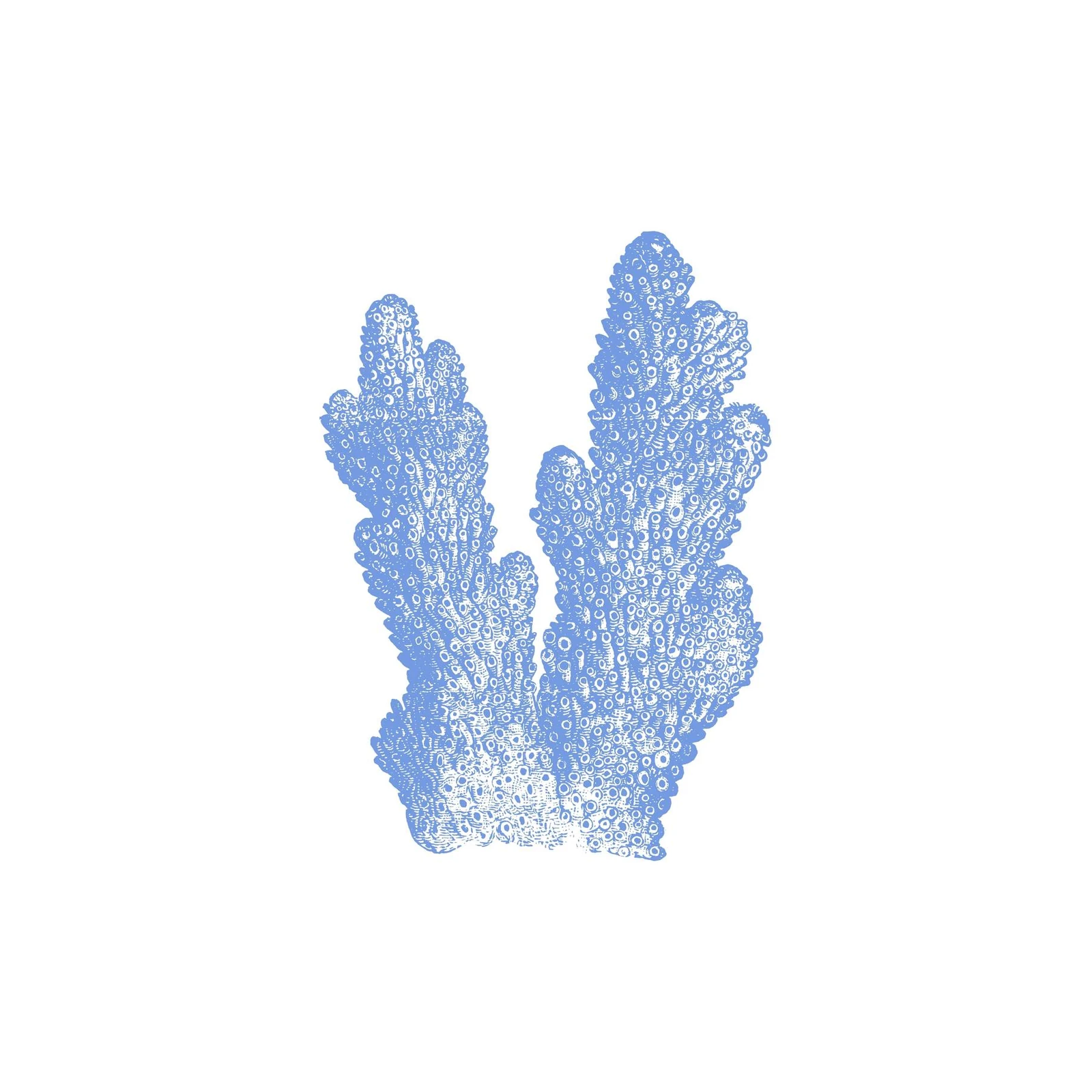 Serene Blue Coral Art Wall Art