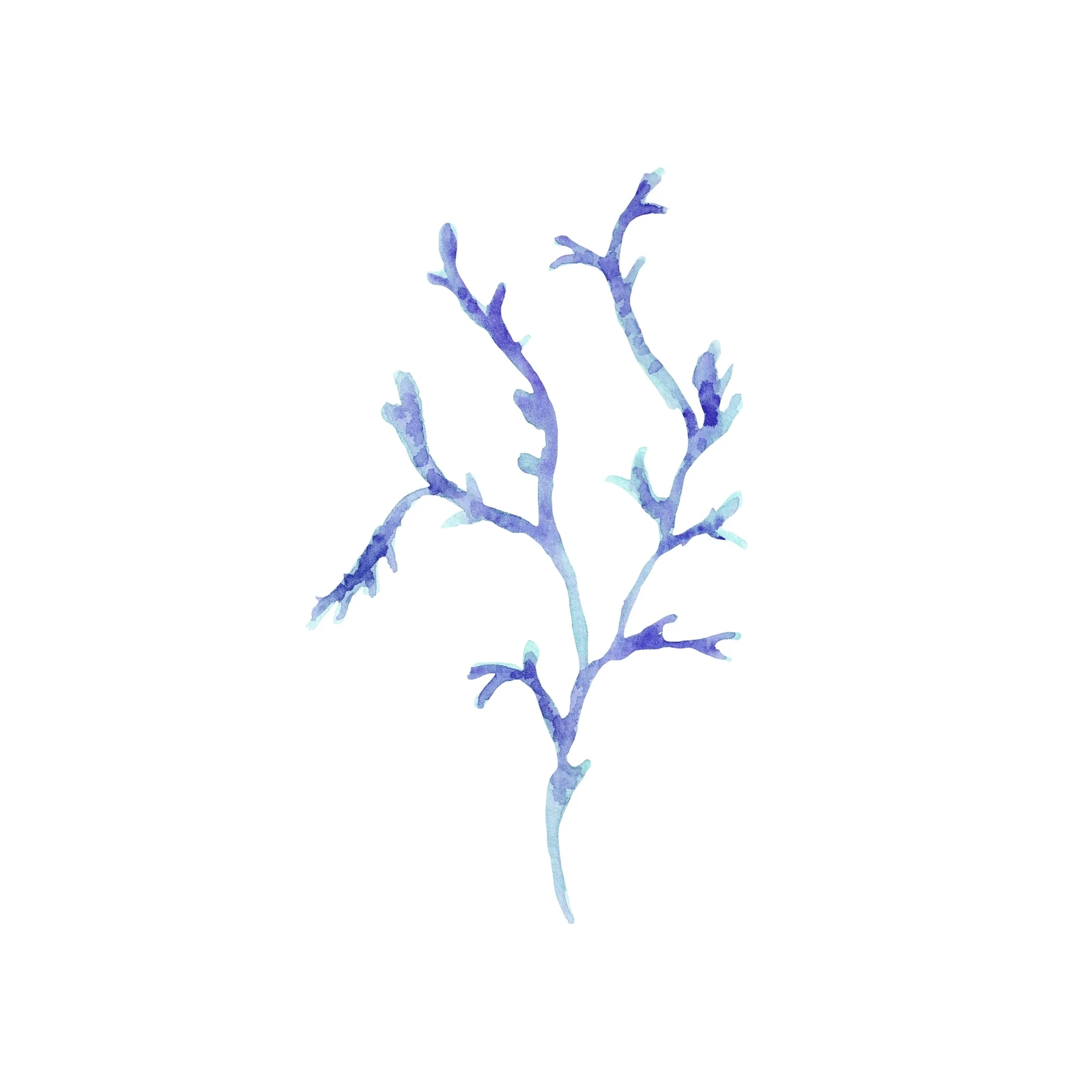 Serene Blue Coral Watercolor Wall Art