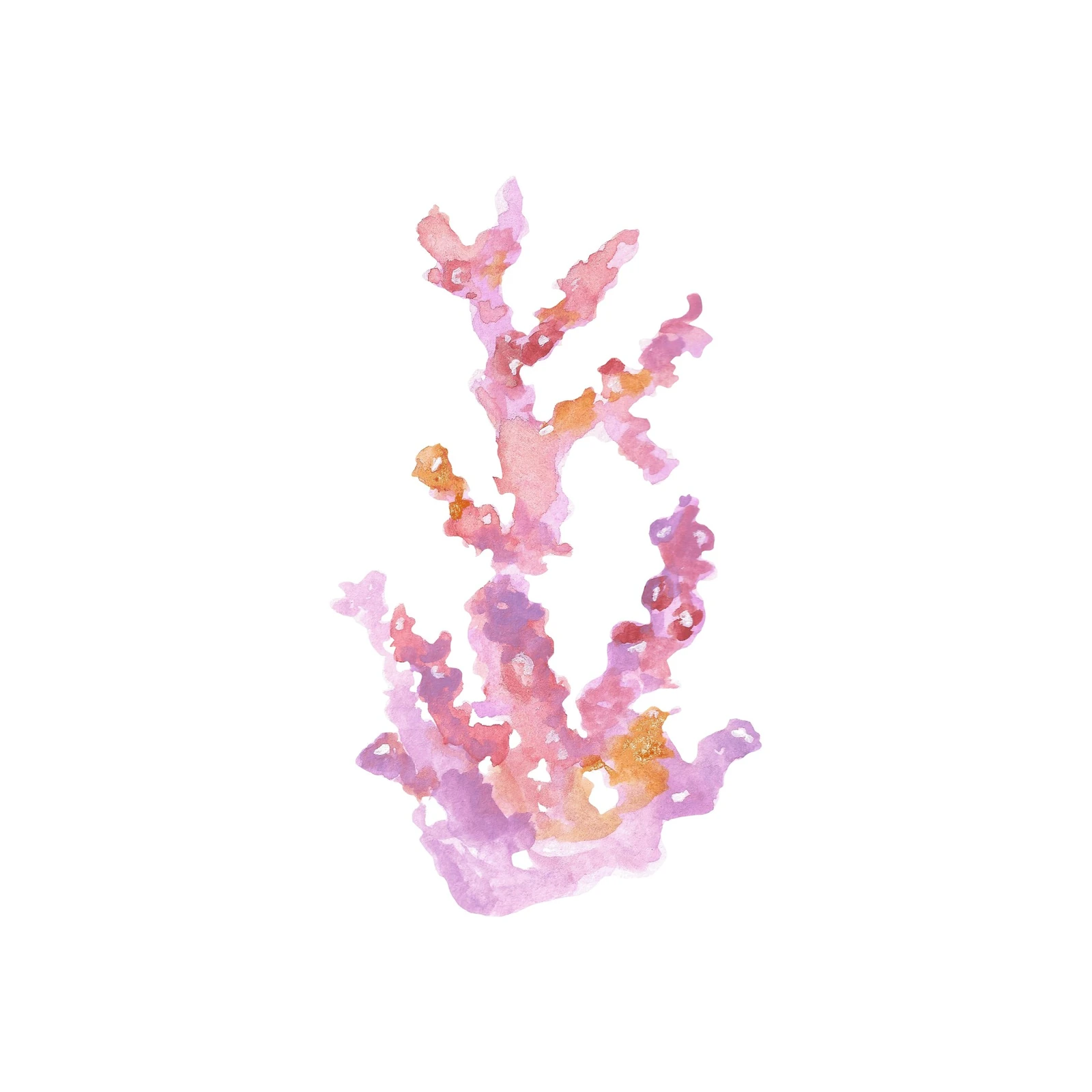 Delicate Coral Watercolor Wall Art Wall Art