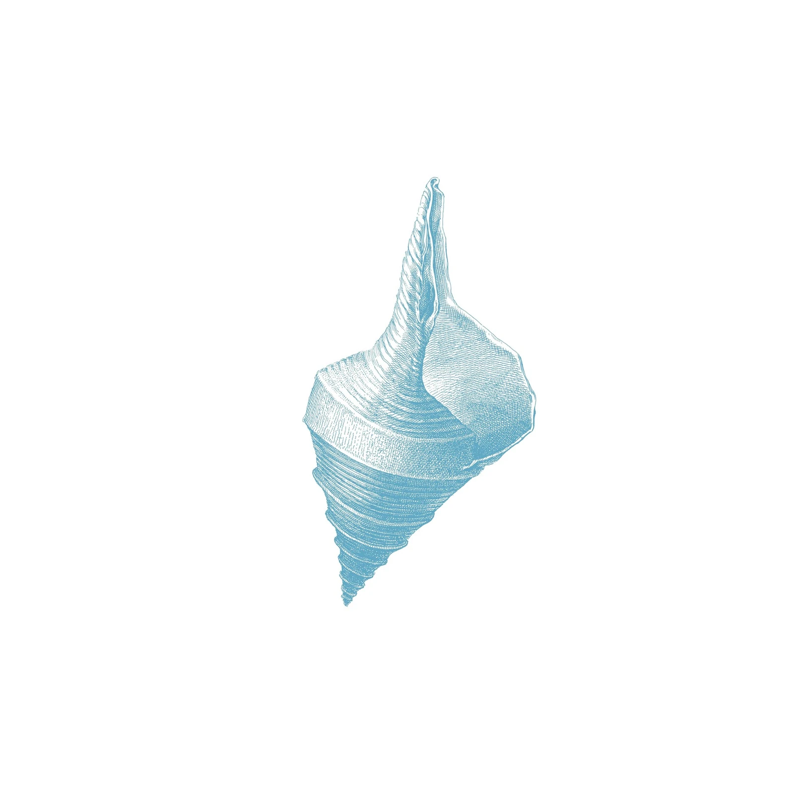 Elegant Sea Shell Vintage Blue Wall Art
