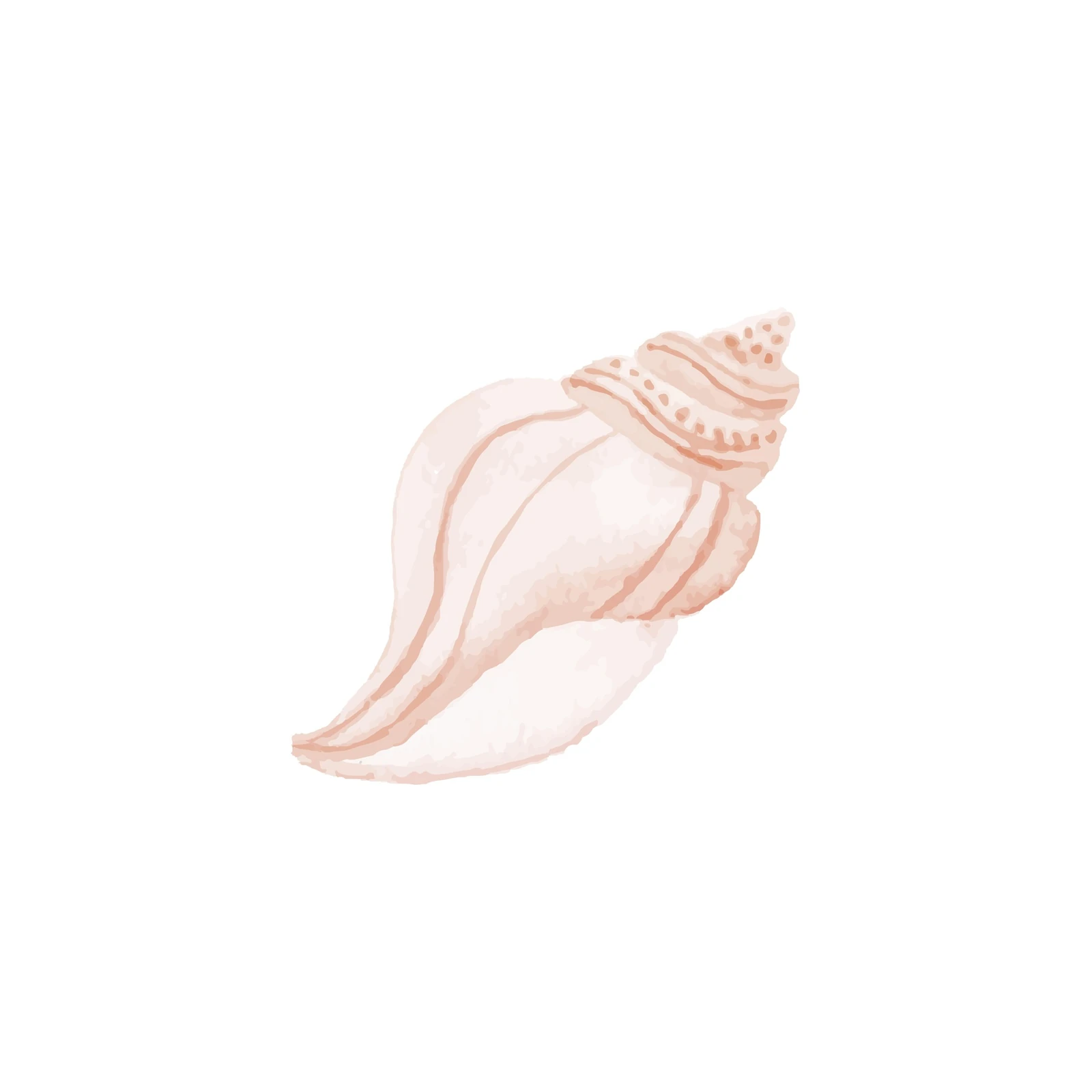 Serene Seashell Watercolor Wall Art