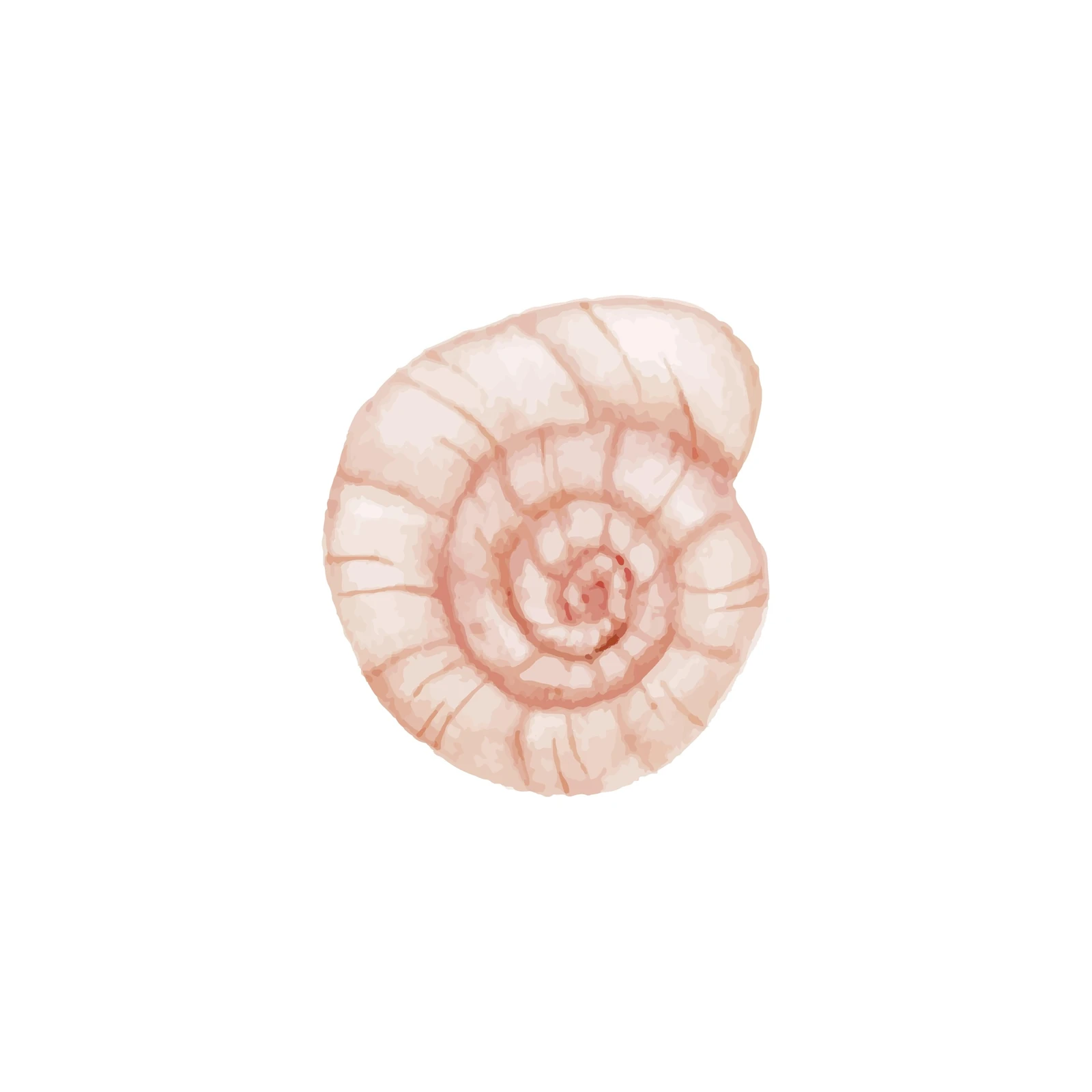 Serene Nautilus Shell Watercolor Wall Art