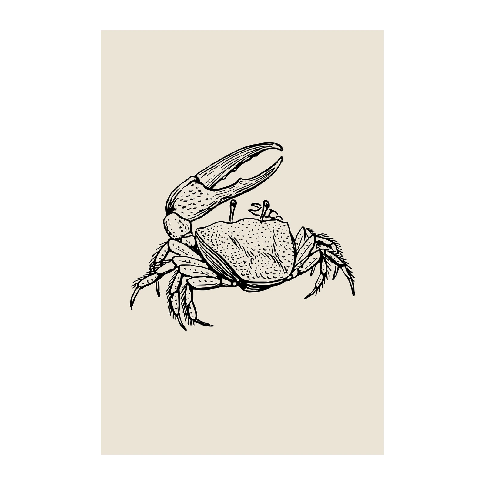 Vintage Crab Sketch Wall Art