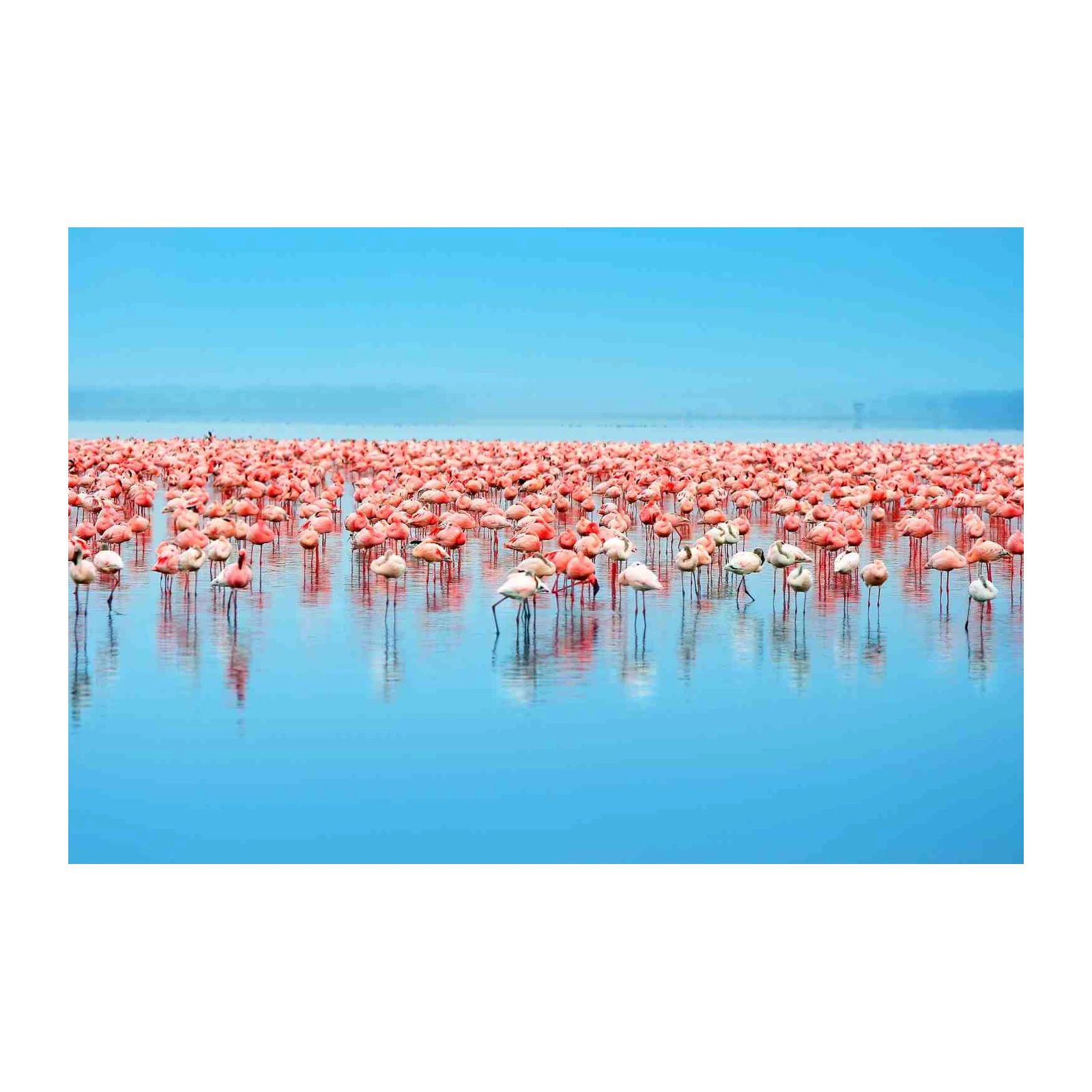 Flamingo Flock Serenity Wall Art