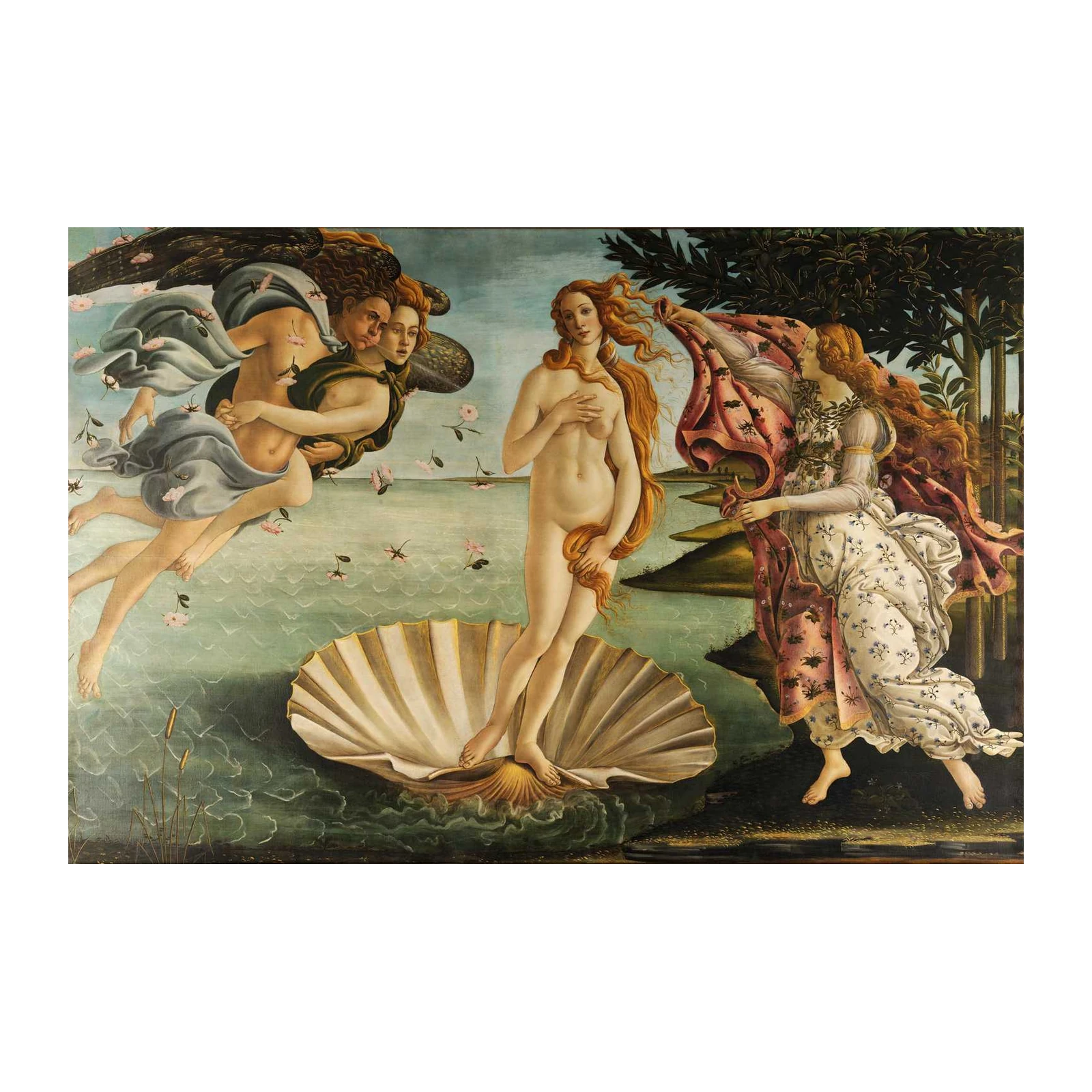 Birth of Venus Botticelli Wall Art