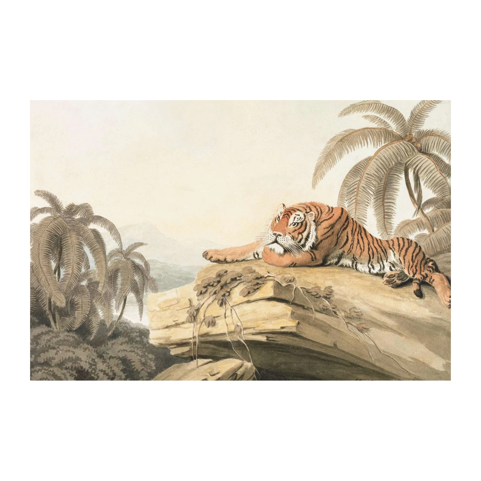 Majestic Tiger Tropical Jungle Wall Art