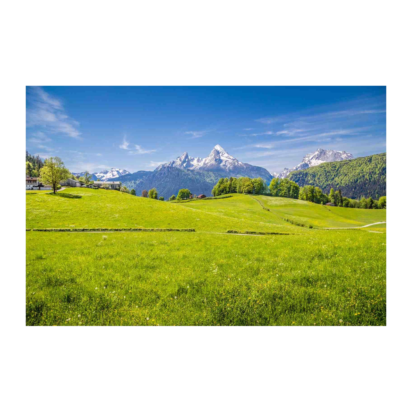 Serene Alpine Meadow Landscape Wall Art