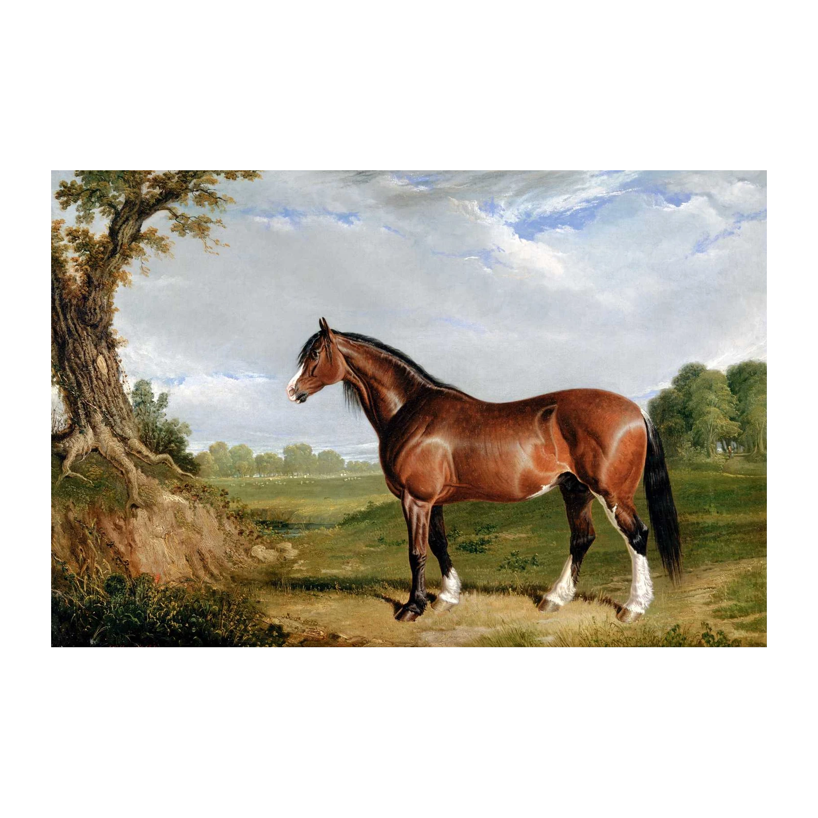 Majestic Bay Horse Landscape Wall Art