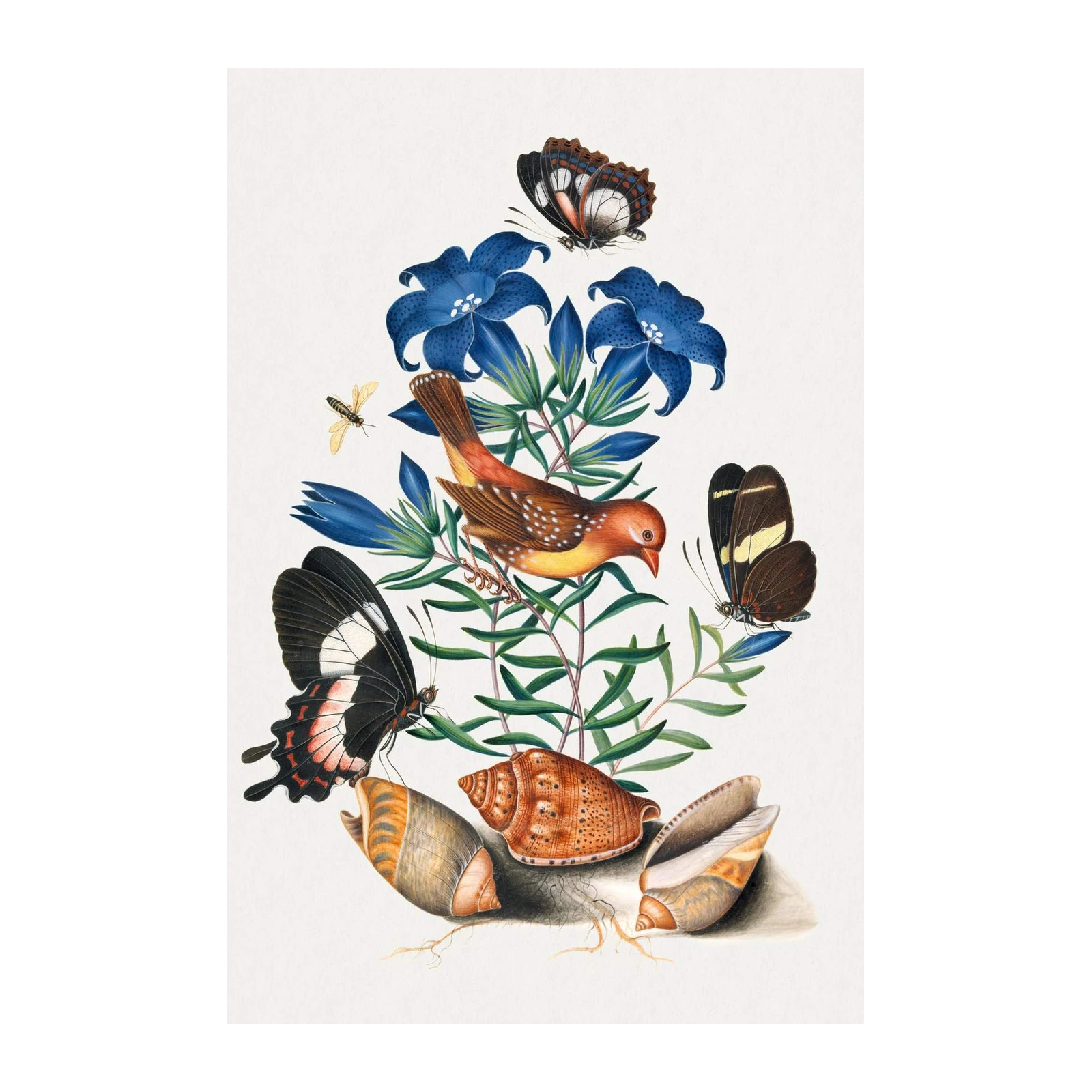 Vintage Nature Study Bird & Butterfly Wall Art