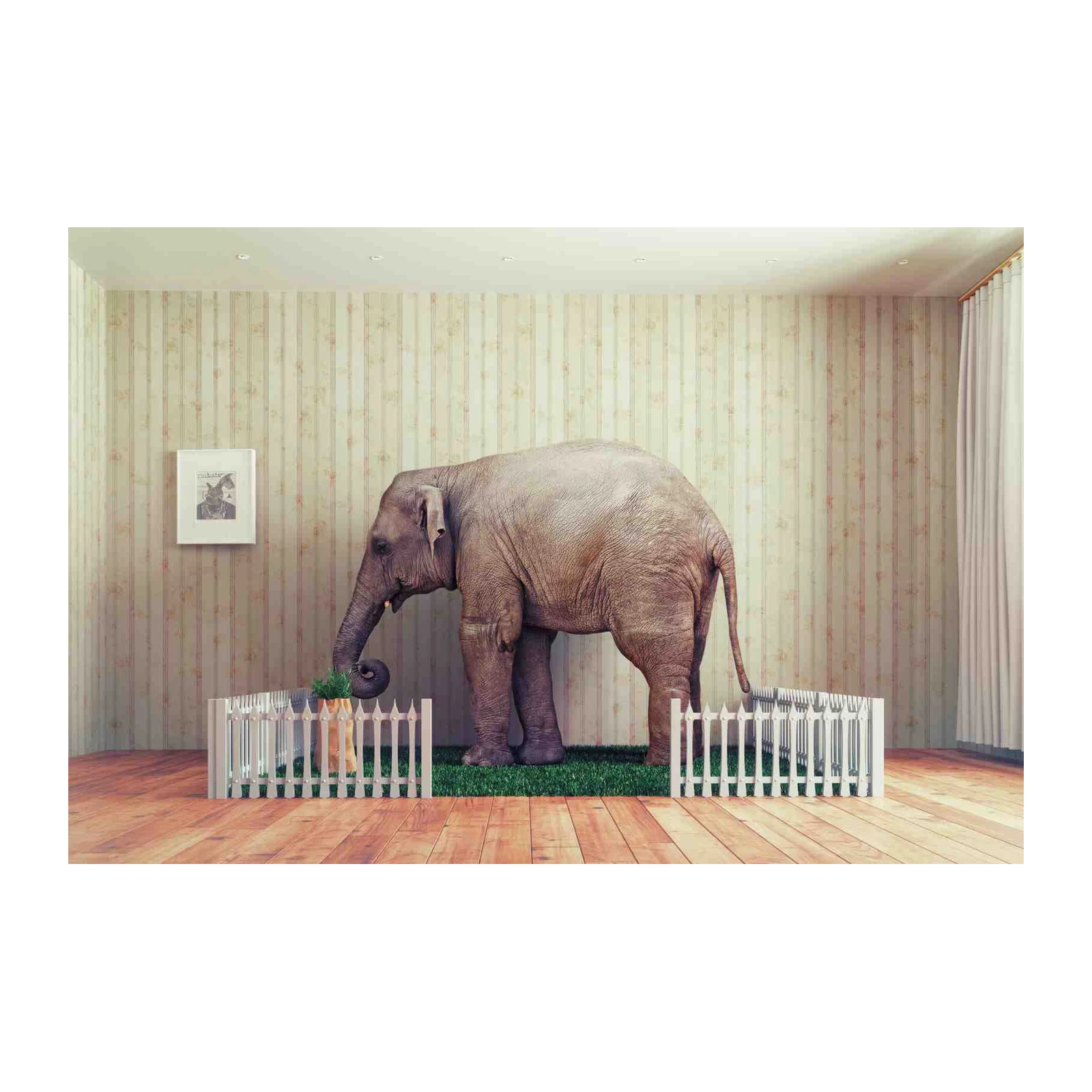 Whimsical Elephant in Vintage Room Wall Art