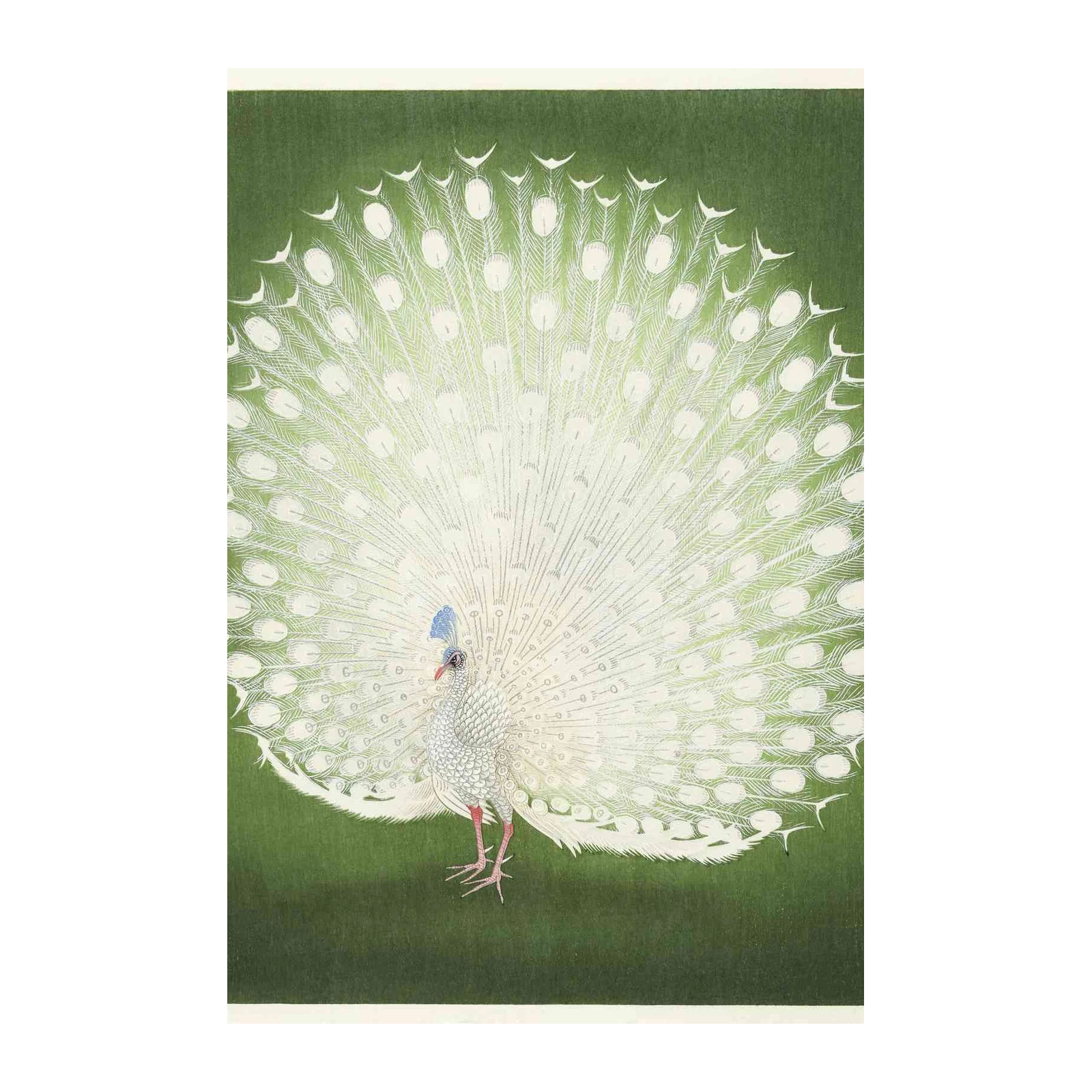 Elegant White Peacock Zen Garden Wall Art
